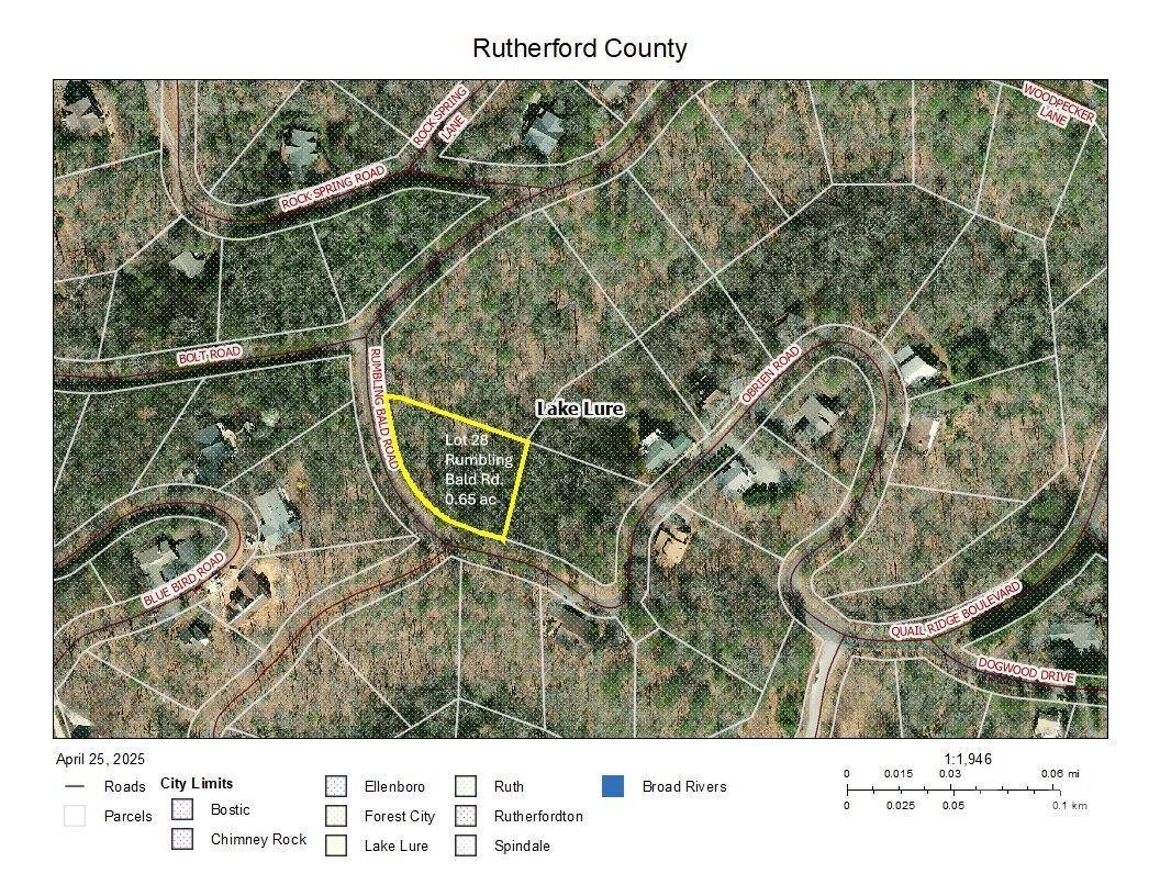 Lake Lure, NC 28746,0 Rumbling Bald RD #28