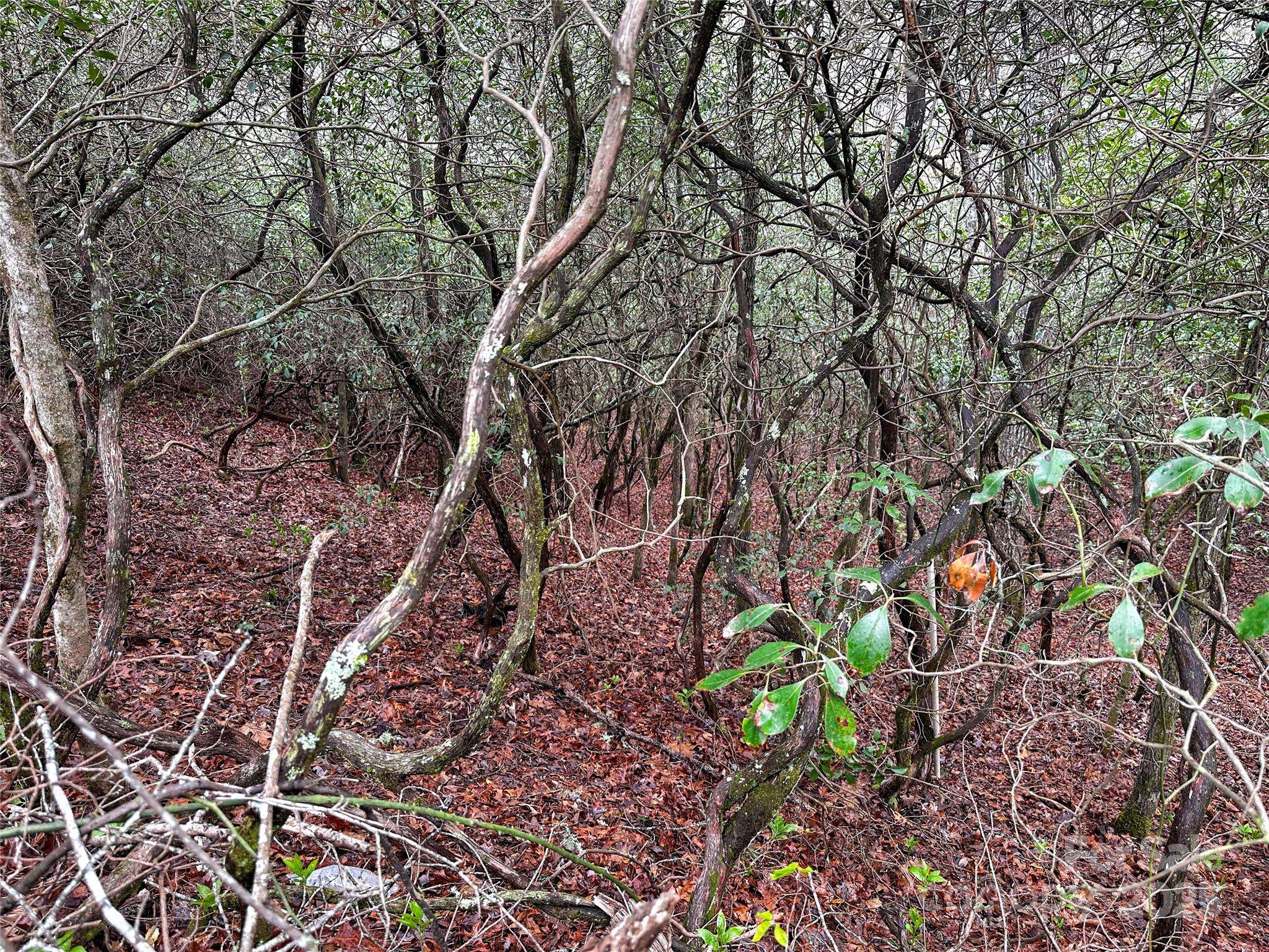 Whittier, NC 28789,Lot 3 Tara Hills RD