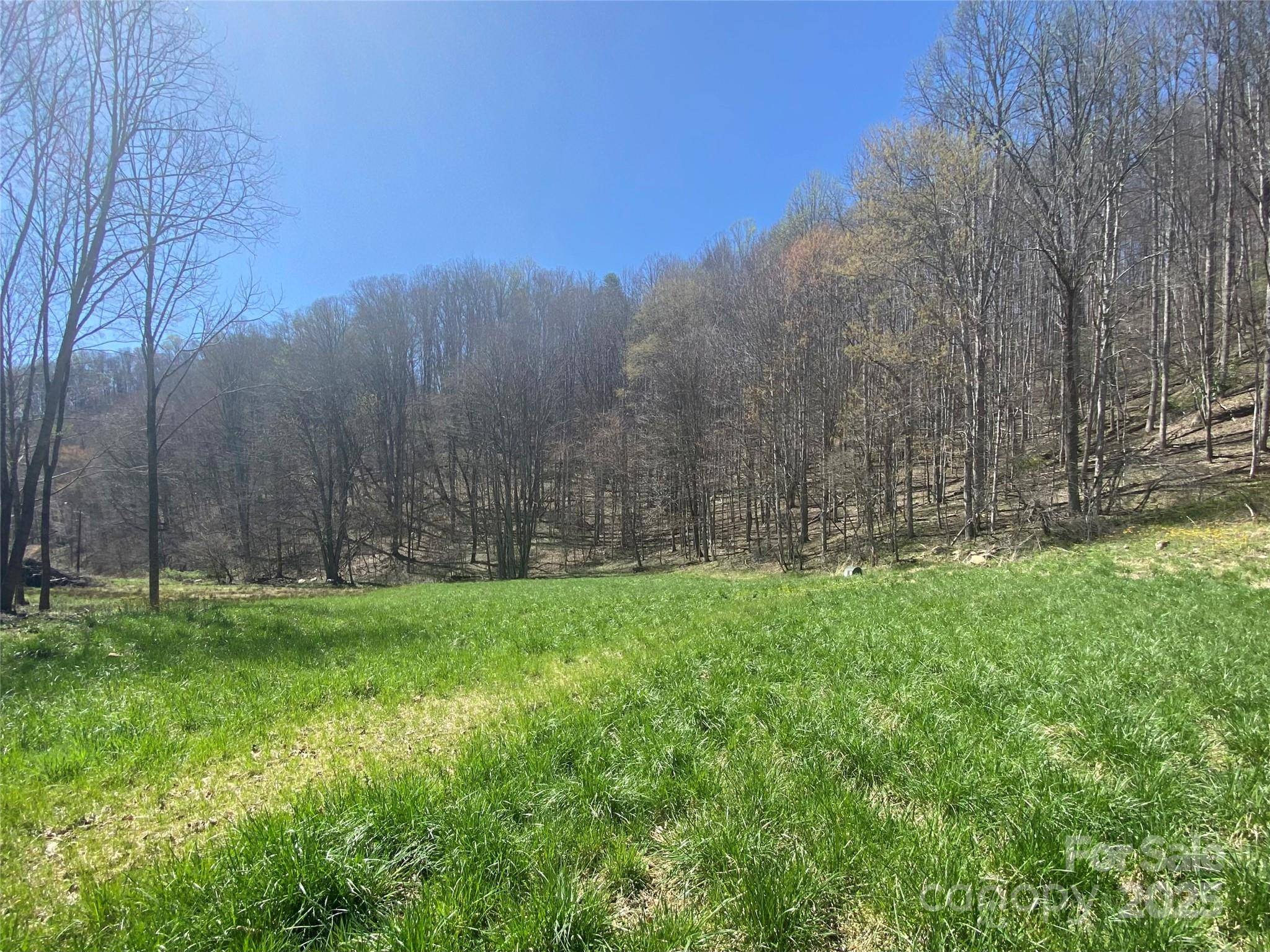 Mars Hill, NC 28754,00 Laurel Valley RD