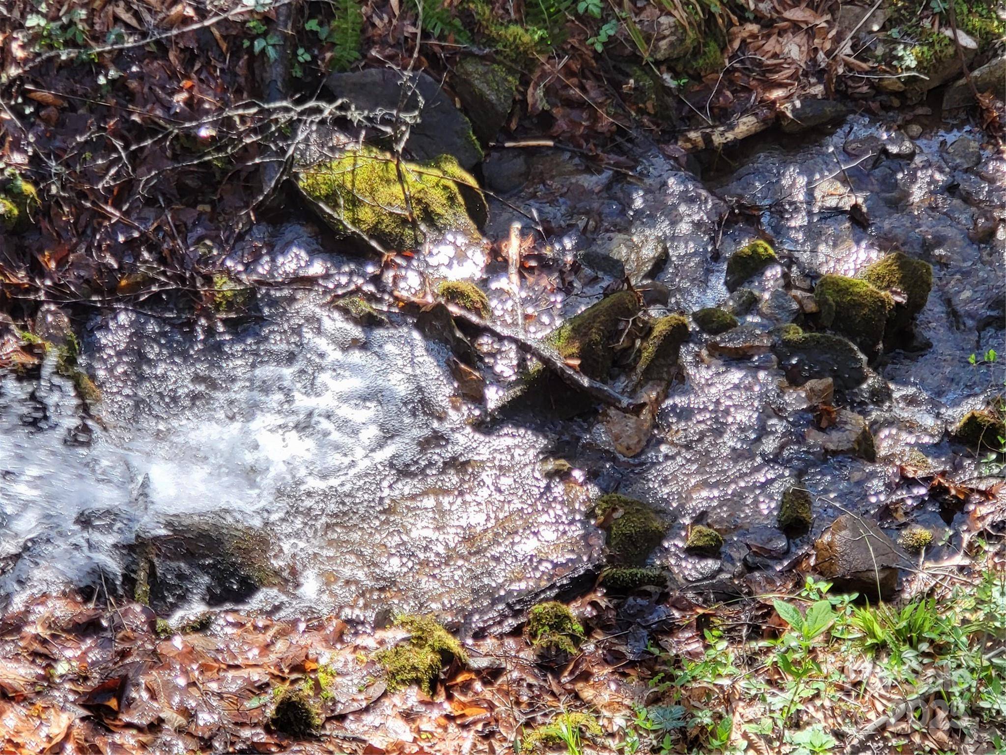 Cullowhee, NC 28723,9999 Wayehutta RD