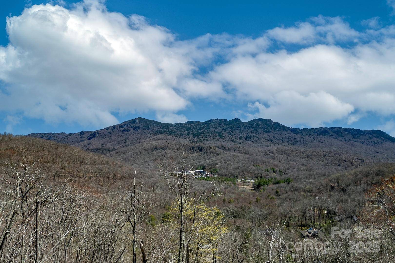 Sugar Mountain, NC 28604,150 Squirrel Corn LN