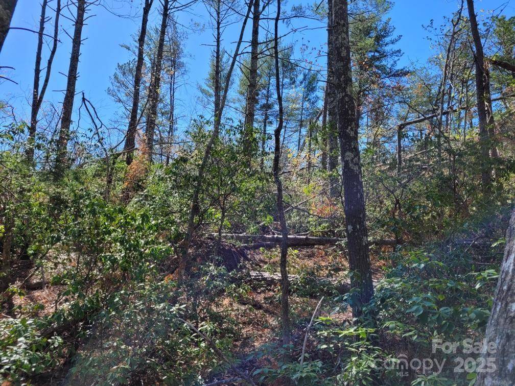 Marion, NC 28752,167 Fox Ridge TRL