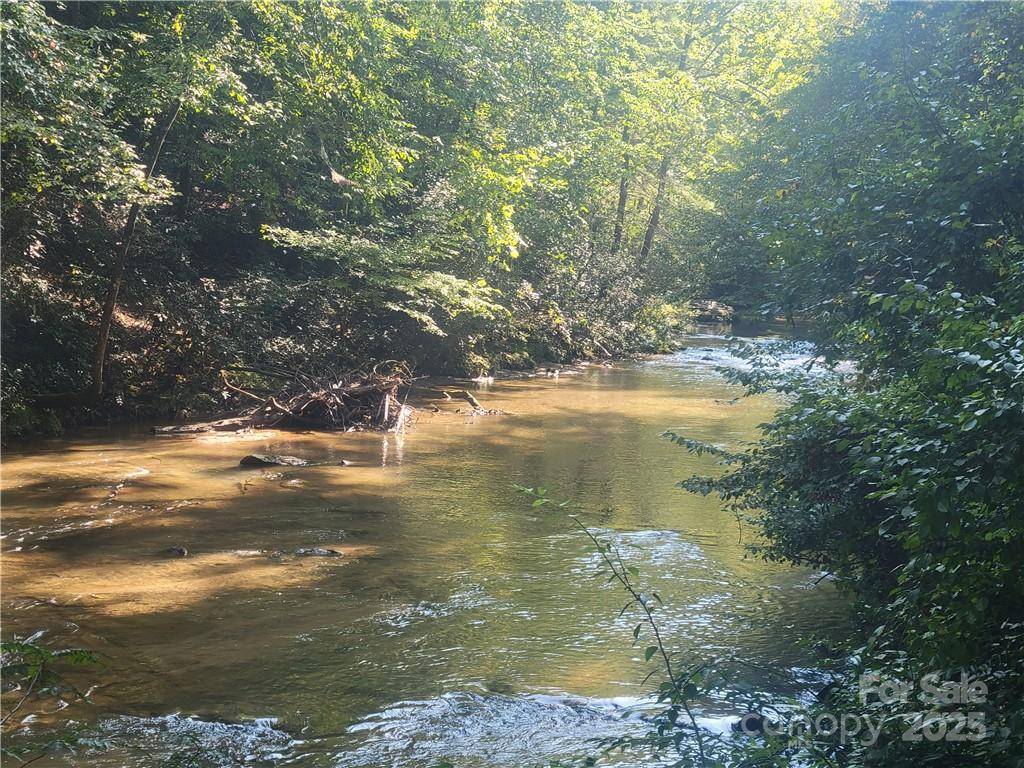Tryon, NC 28782,Lot 5 Appaloosa LN #5