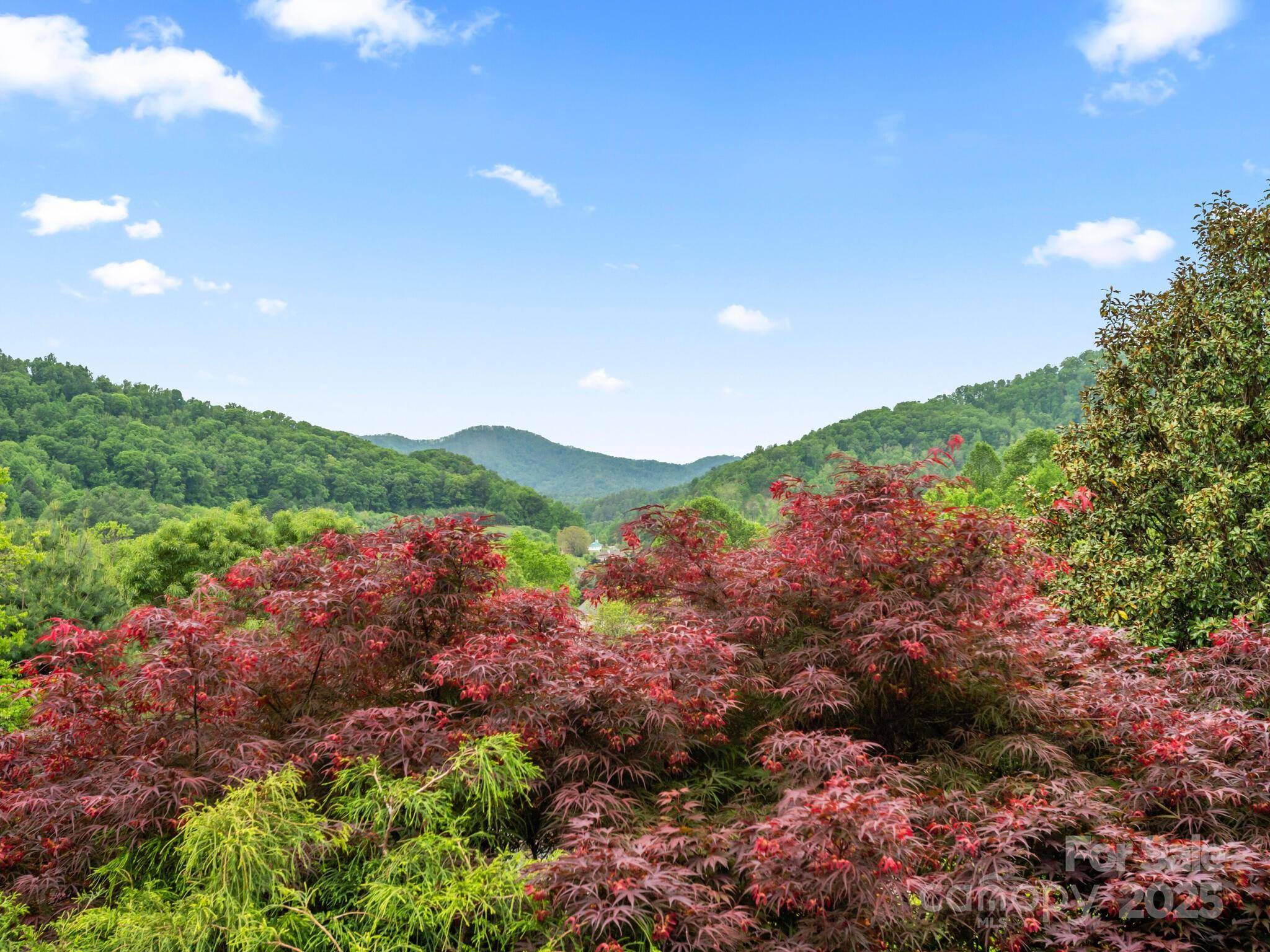Weaverville, NC 28787,106 Thistle Tree WAY