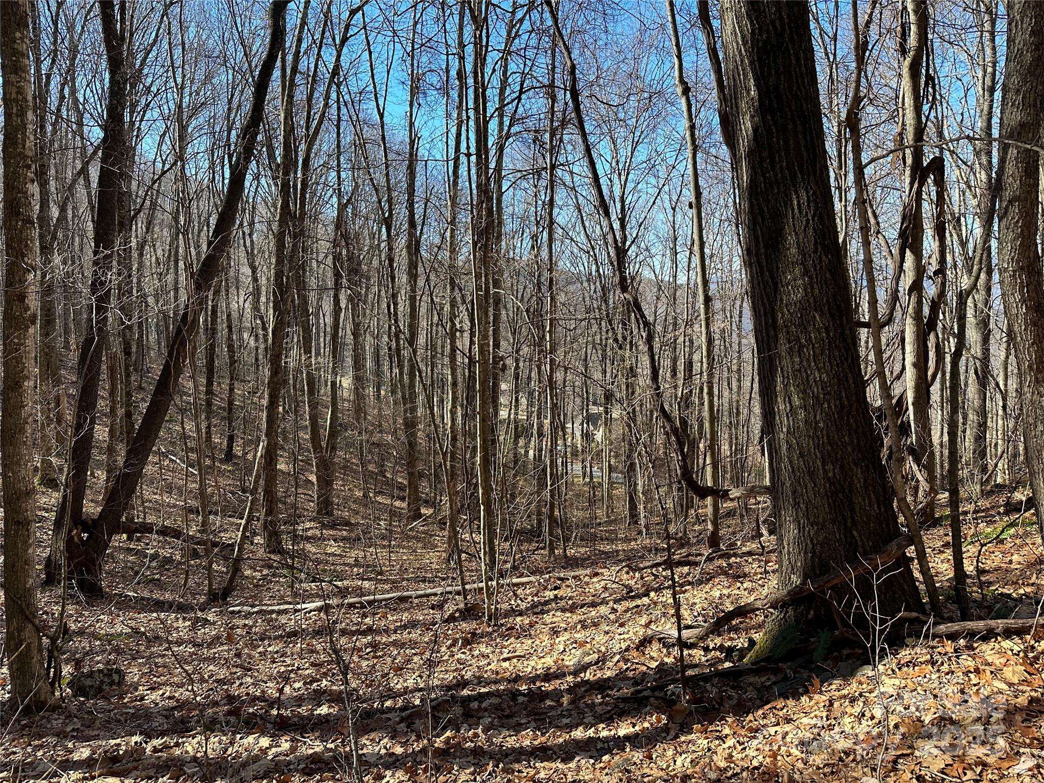 Waynesville, NC 28786,000 Finlaystone TRCE #26
