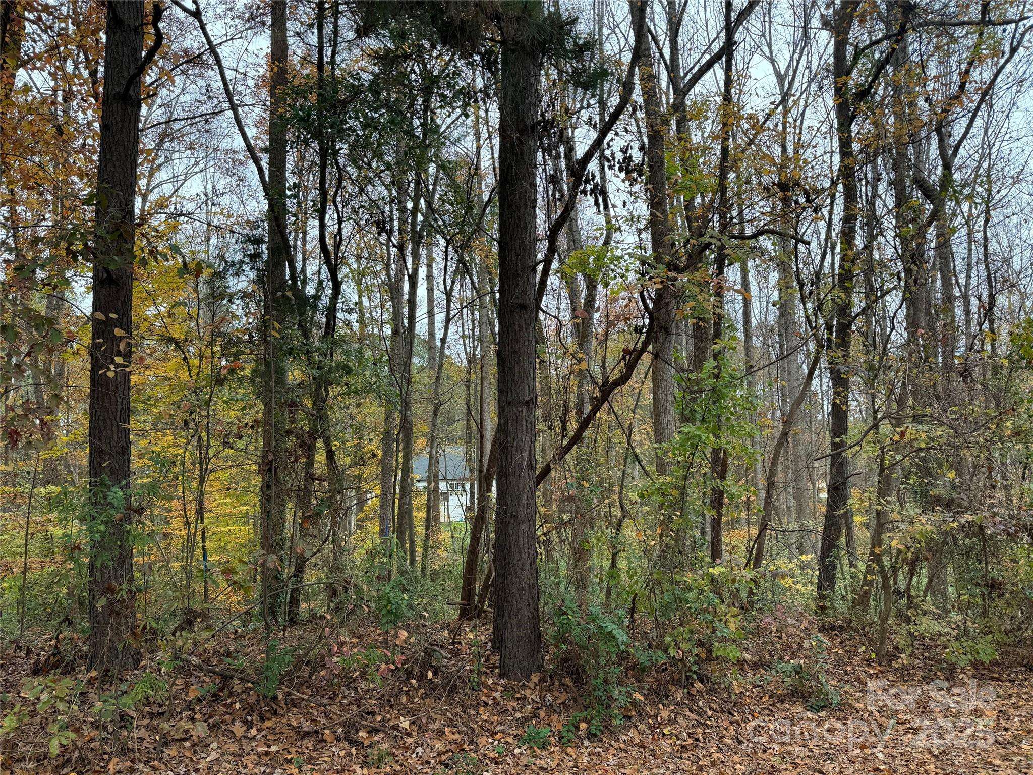 Stanley, NC 28164,TBD Cardinal LOOP #9,10,11
