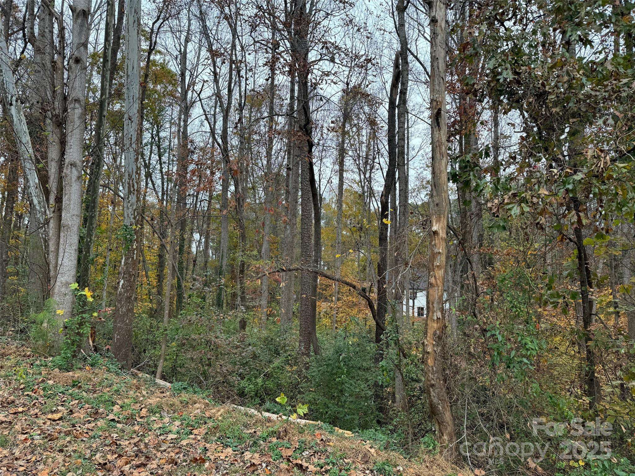 Stanley, NC 28164,TBD Cardinal LOOP #9,10,11
