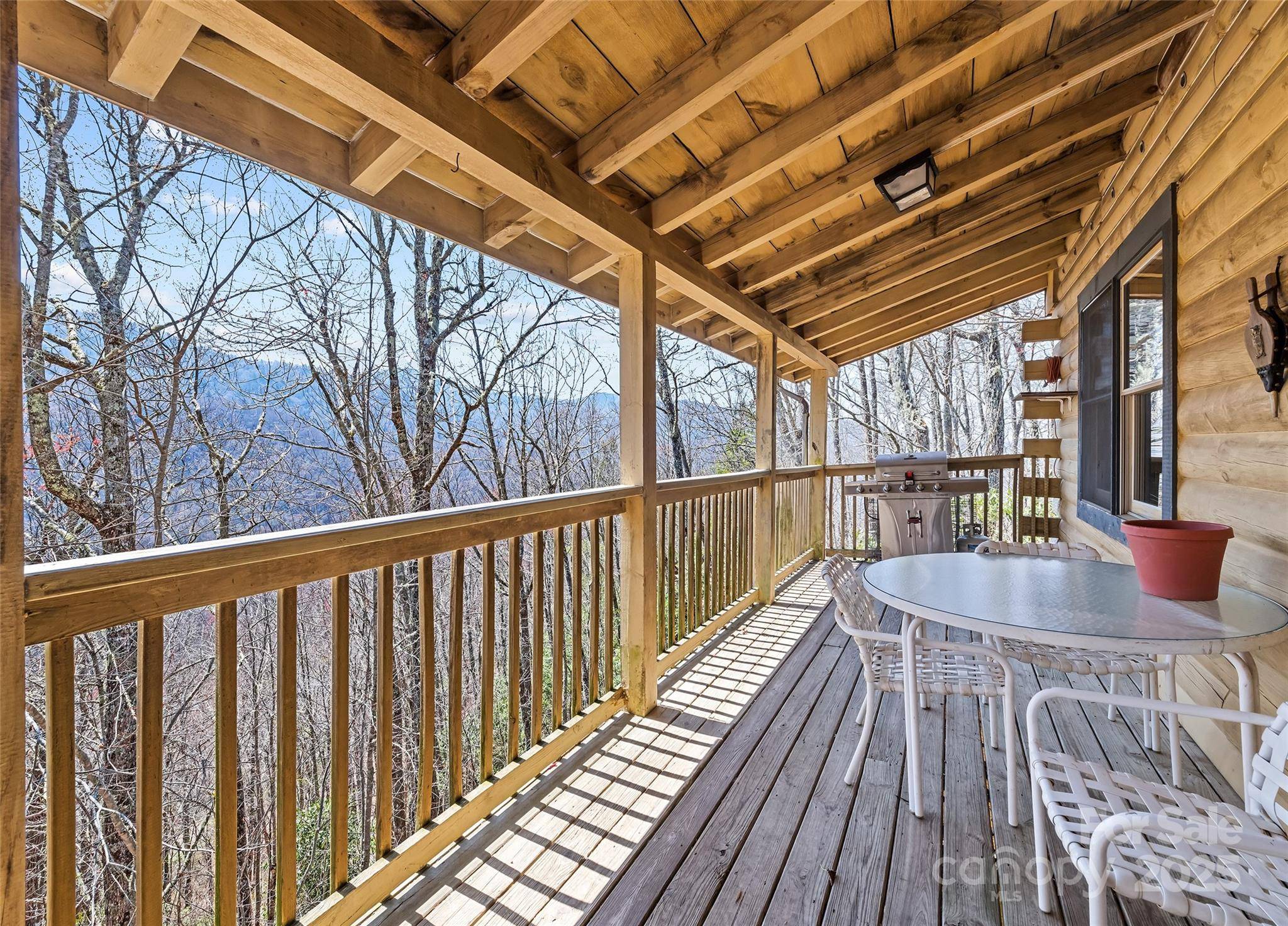 Maggie Valley, NC 28751,173 Blizzard RDG