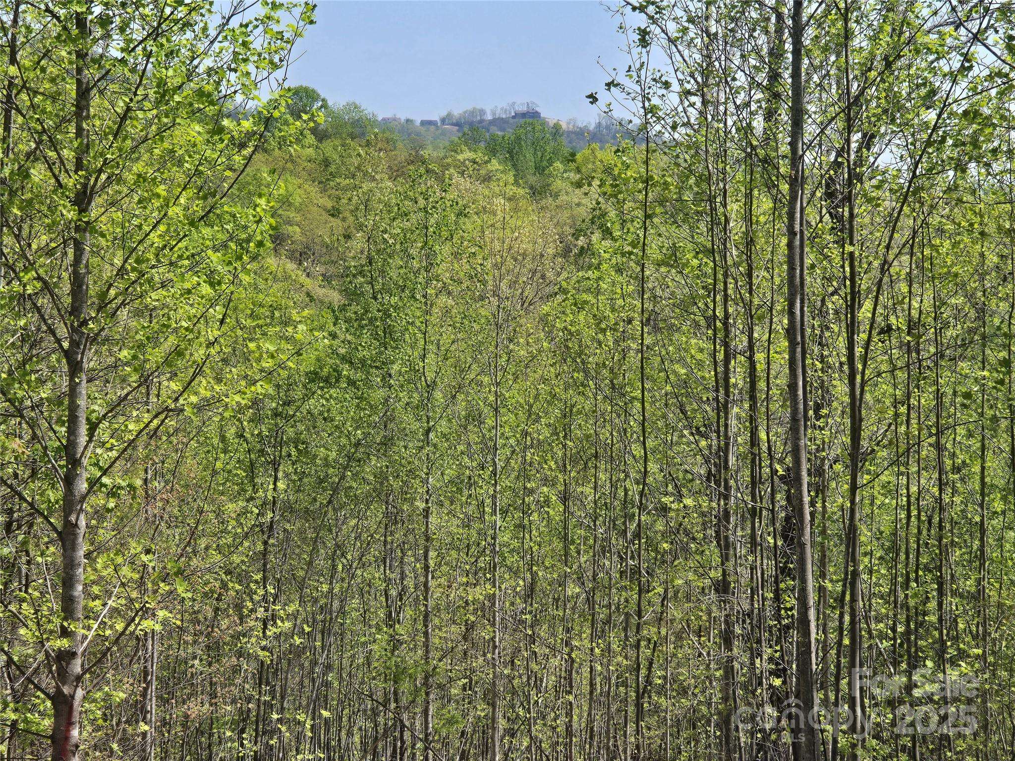 Lake Lure, NC 28746,Lot 17 Touch Me Not TRL