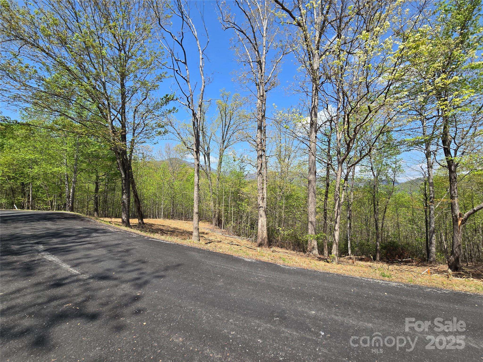 Lake Lure, NC 28746,Lot 34 High Rock RDG