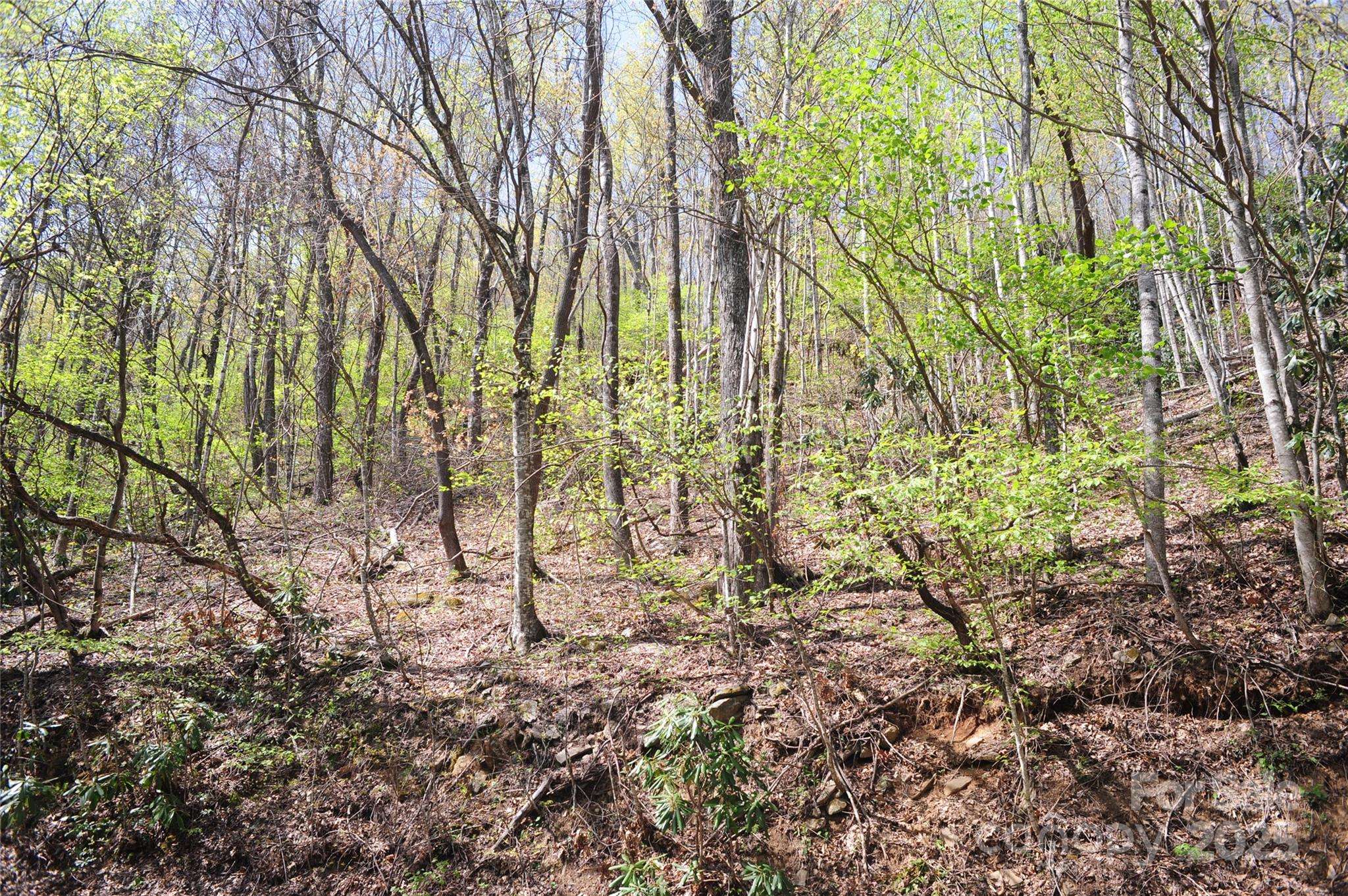 Black Mountain, NC 28711,36 Great Aspen WAY #312