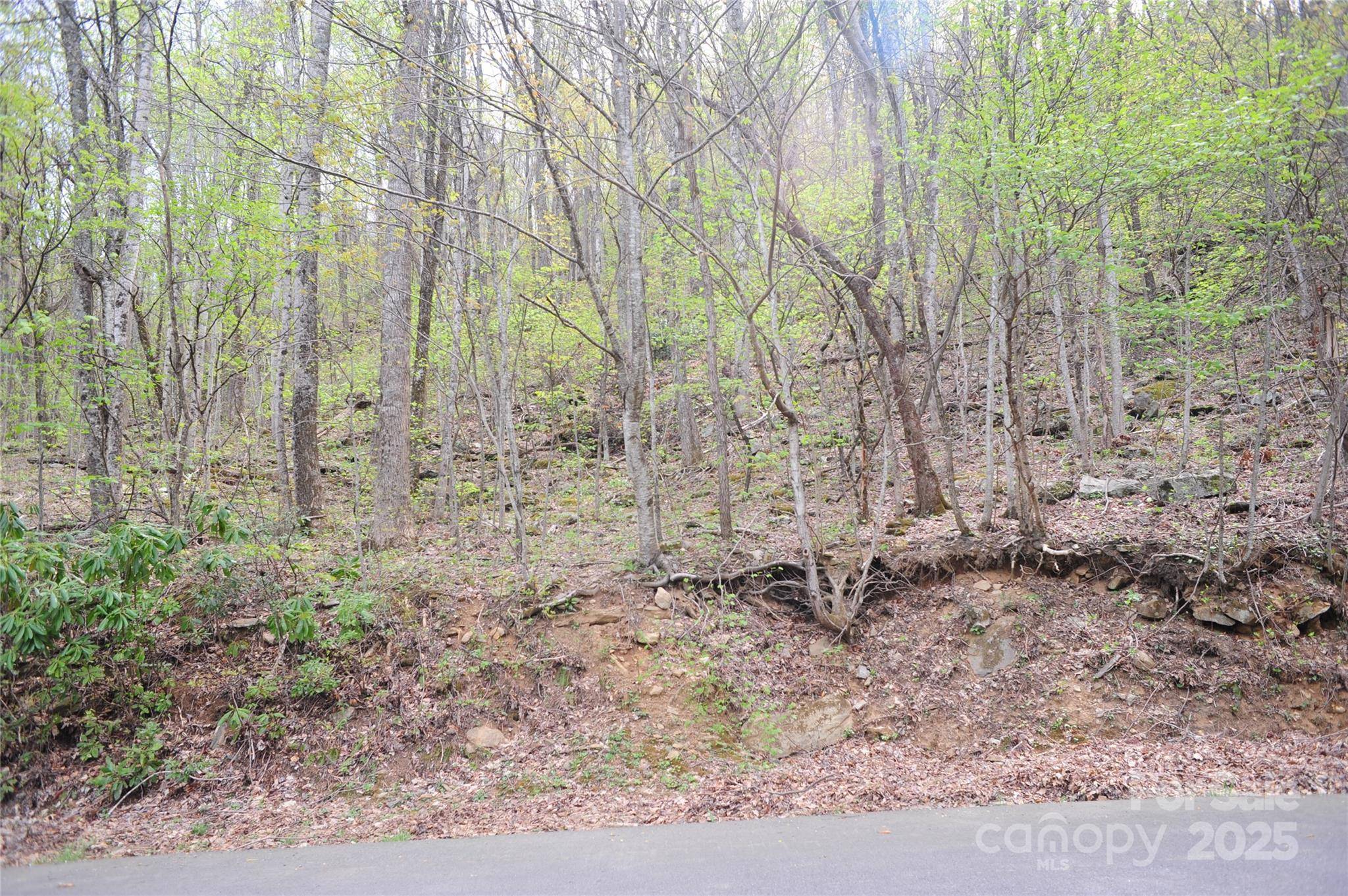 Black Mountain, NC 28711,36 Great Aspen WAY #312