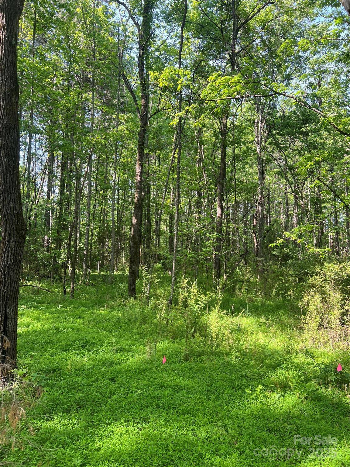 New London, NC 28127,41010 NC HWY 740 HWY #1