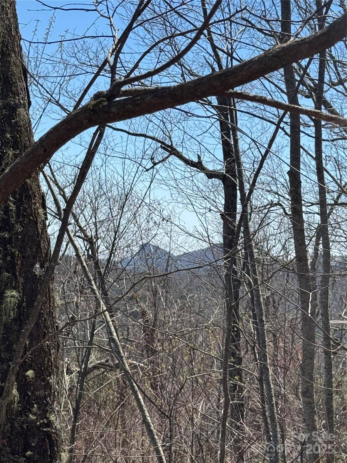 Newland, NC 28657,7668 Turtle Rock RD