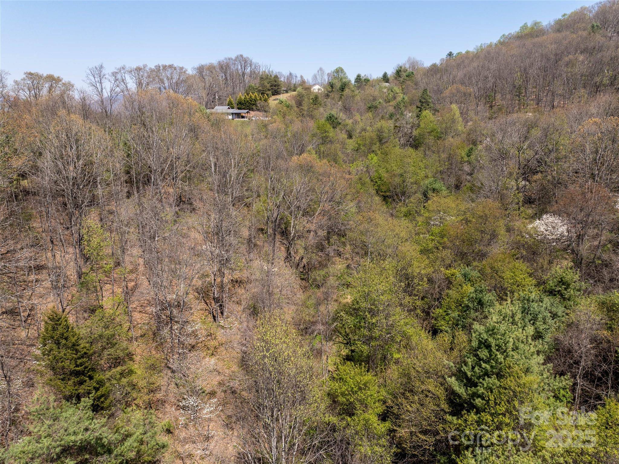 Clyde, NC 28721,Lot 42 Sunnybrook TRL