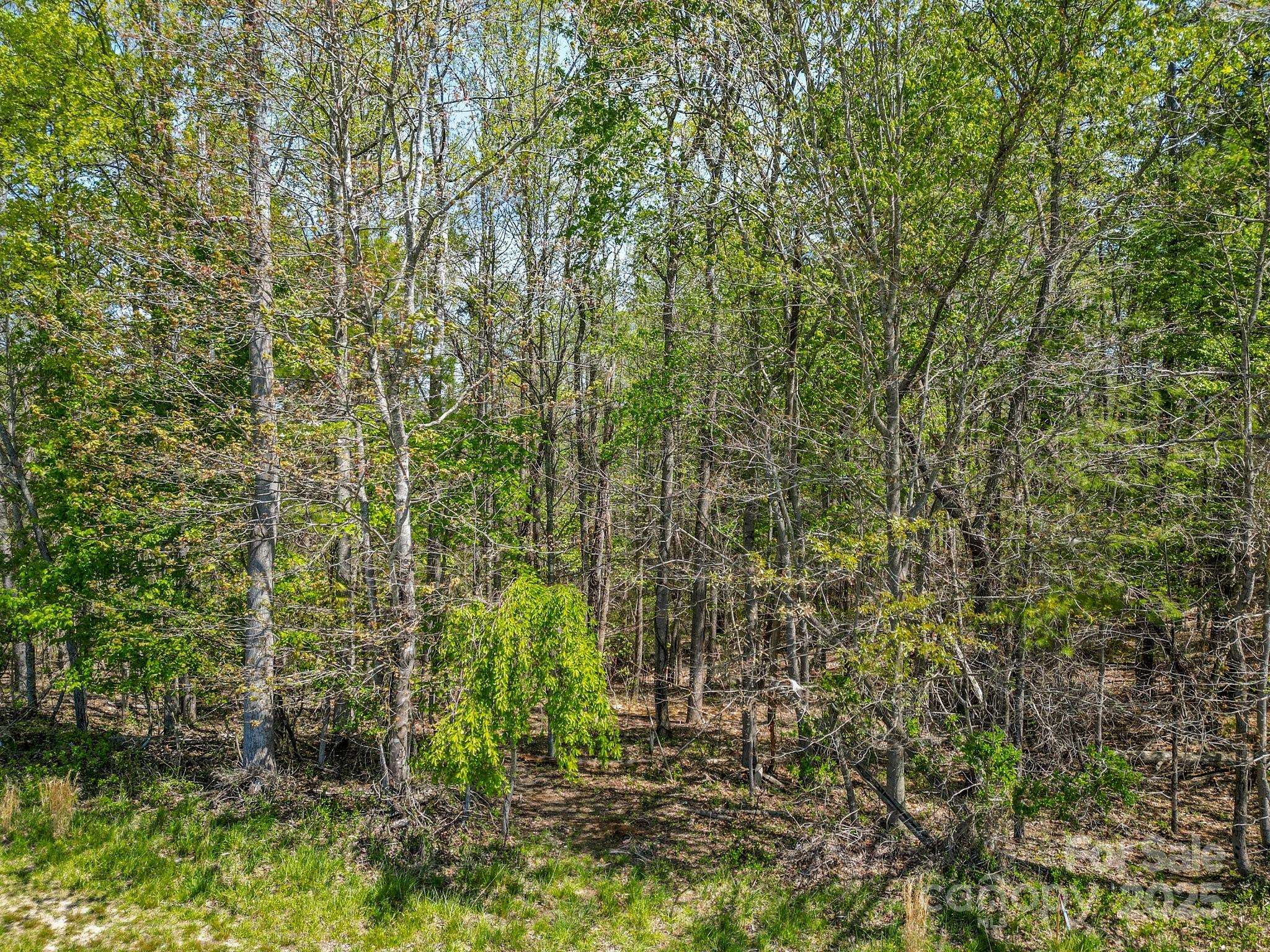 Asheville, NC 28804,17 French Broad River WAY #98