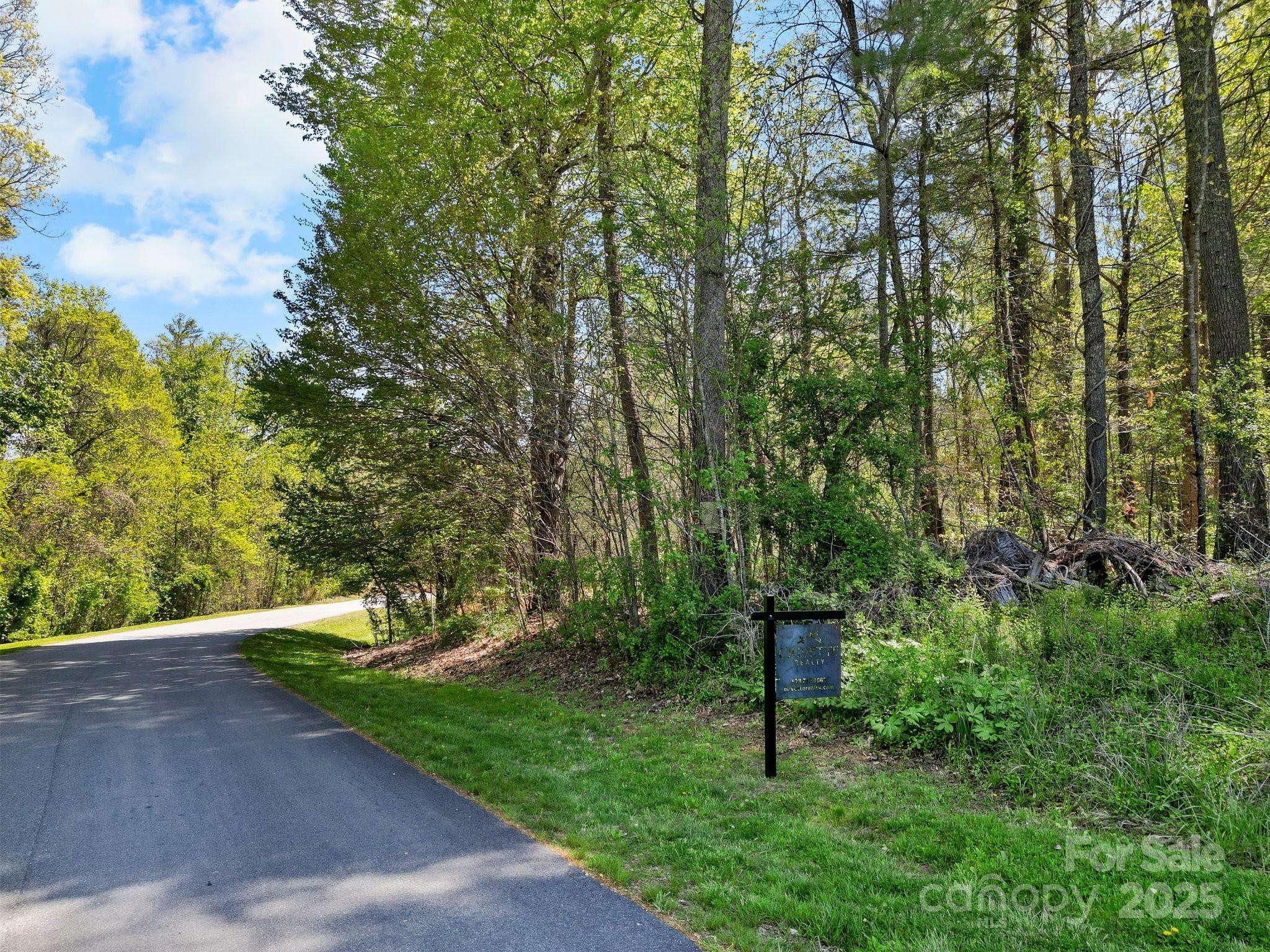 Asheville, NC 28804,17 French Broad River WAY #98