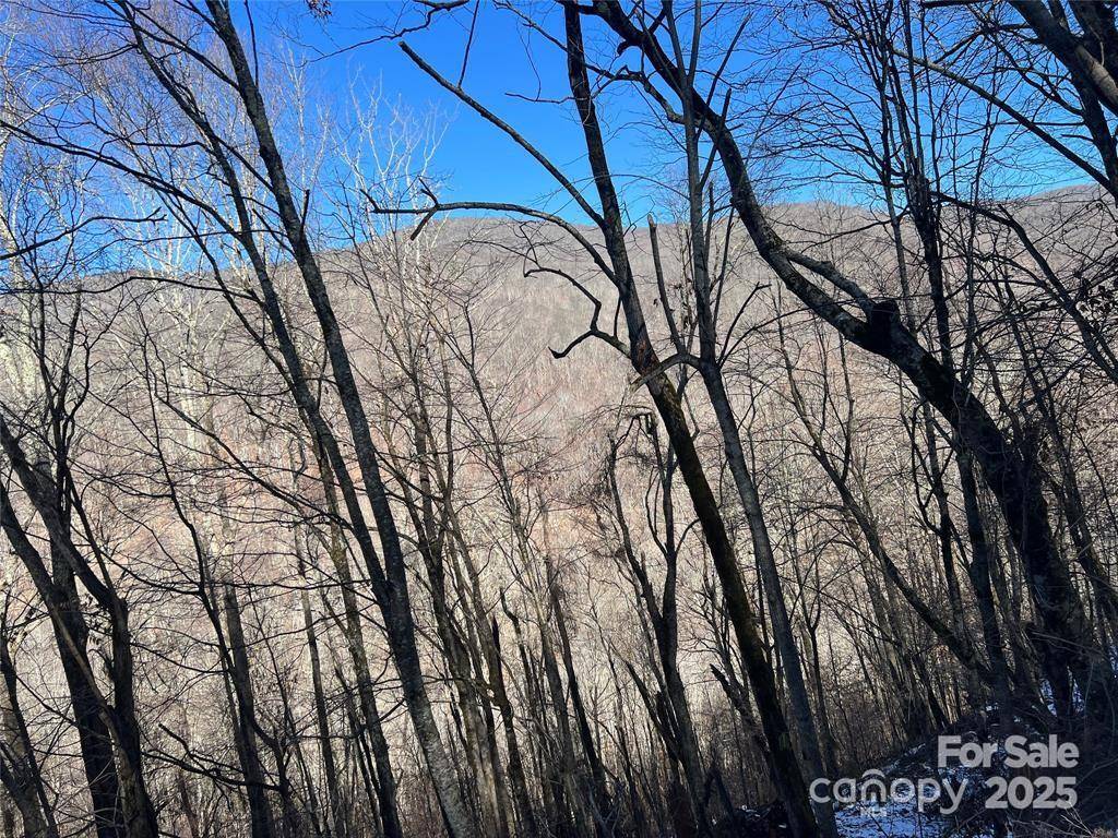 Mars Hill, NC 28754,00 Puncheon LN #149