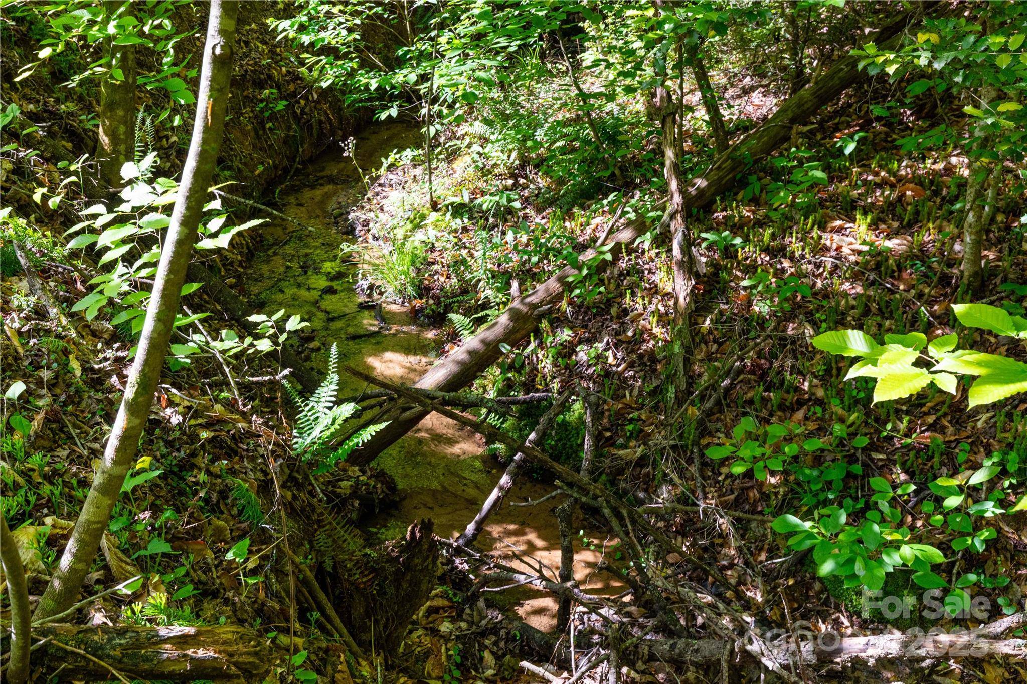 Nebo, NC 28761,4659 Cedar Brook LN #16