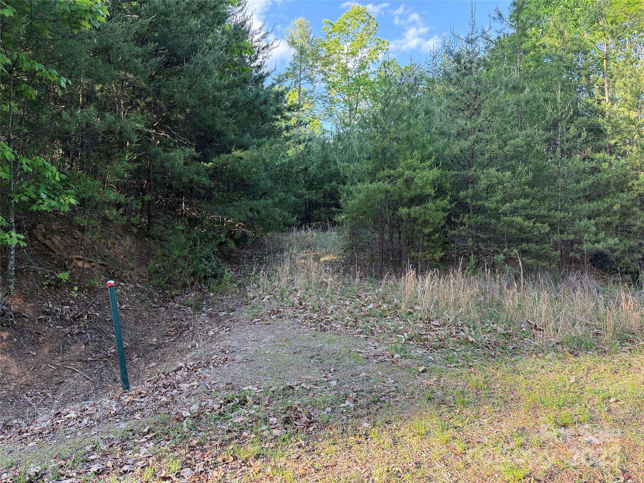 Purlear, NC 28665,TBD Wolf Pen RD #27