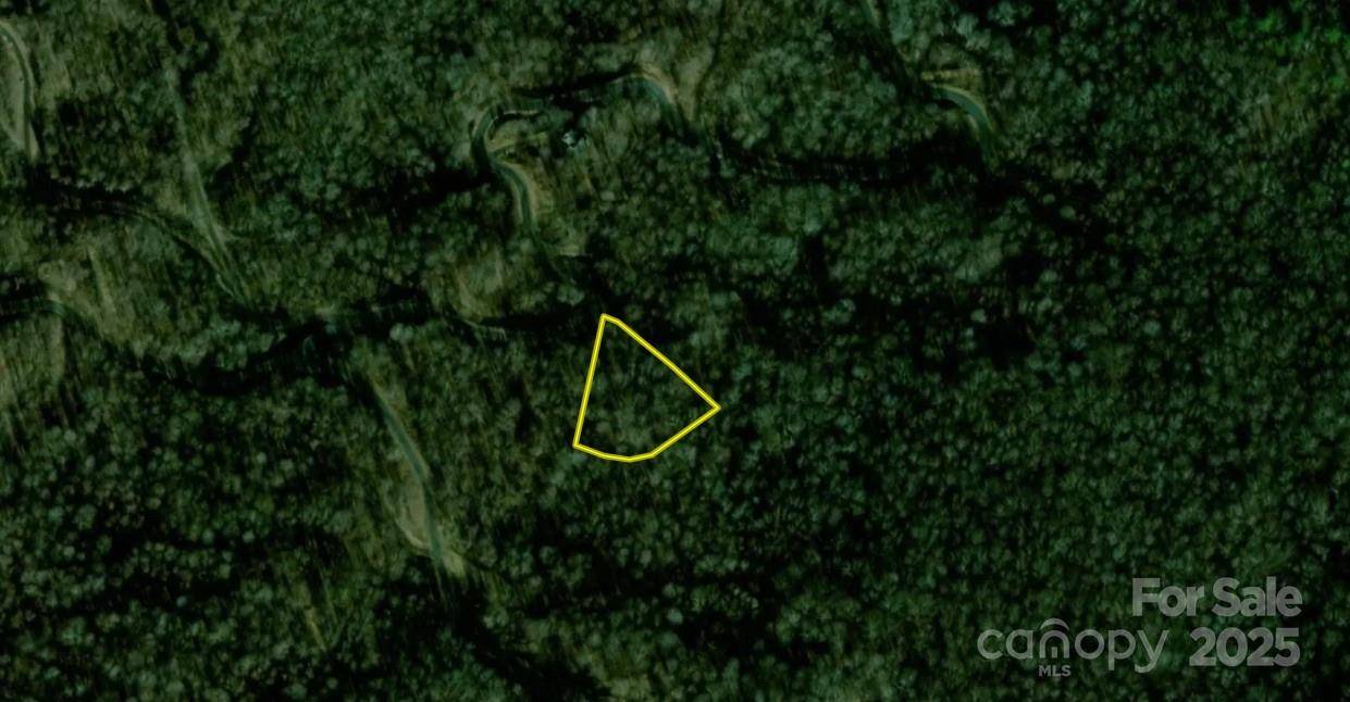 Bakersville, NC 28705,00 Fawn RD #22