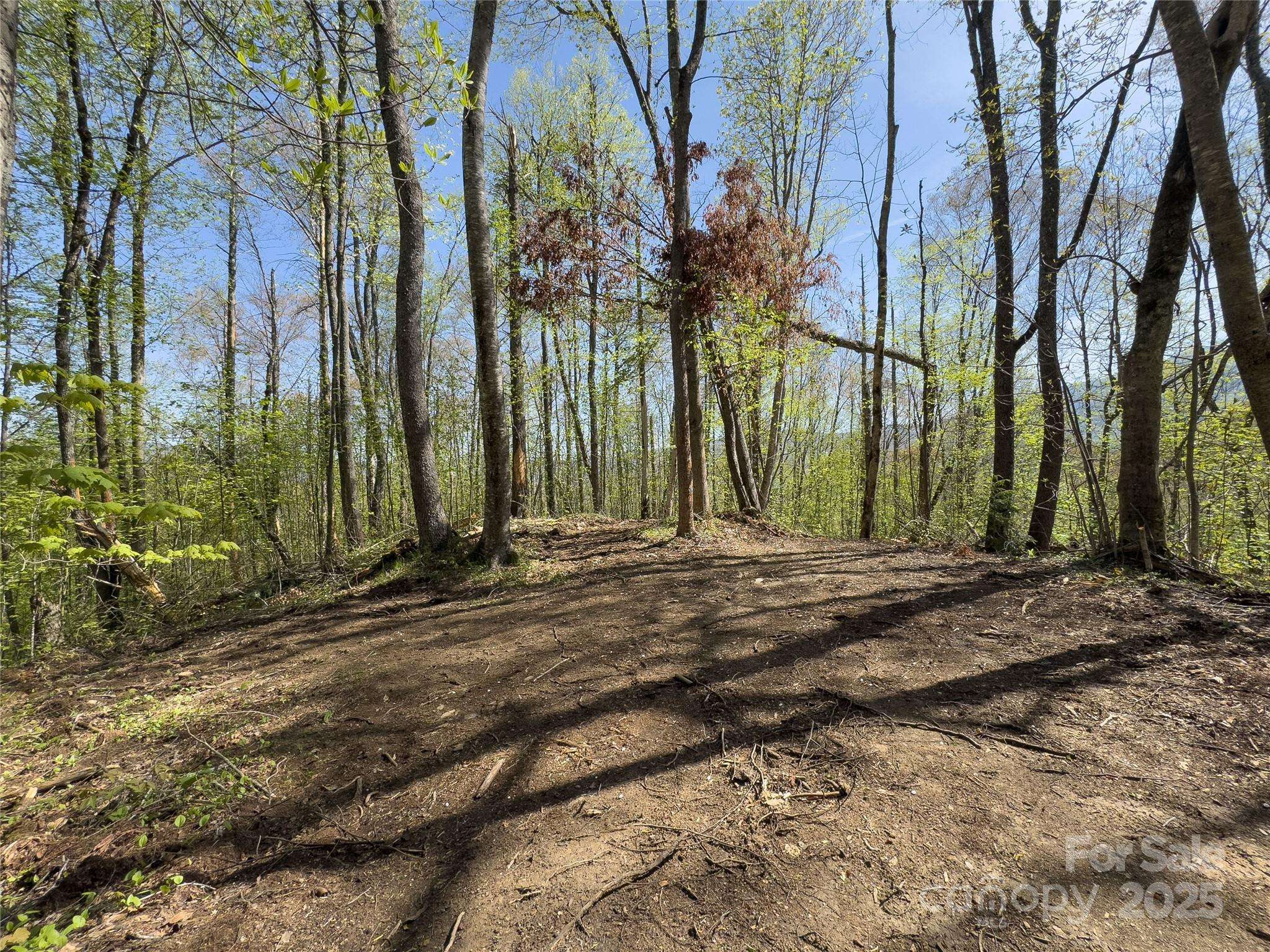 Qualla, NC 28719,Lot 64/65 Big Springs TRL #64/65