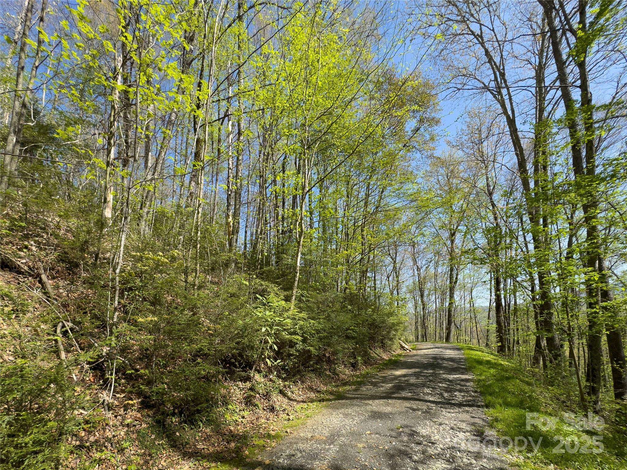 Qualla, NC 28719,Lot 64/65 Big Springs TRL #64/65