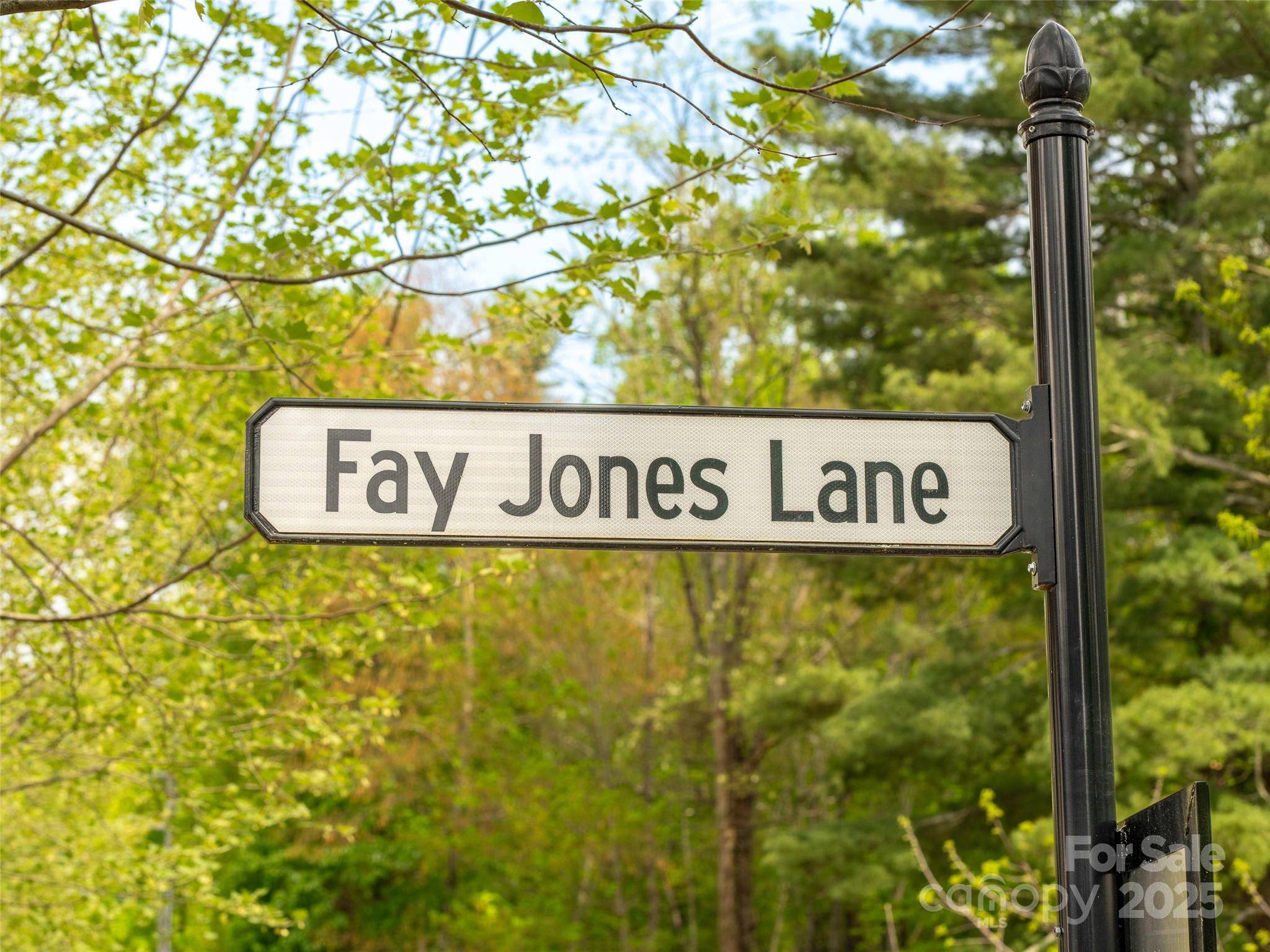 Black Mountain, NC 28711,20 Fay Jones LN