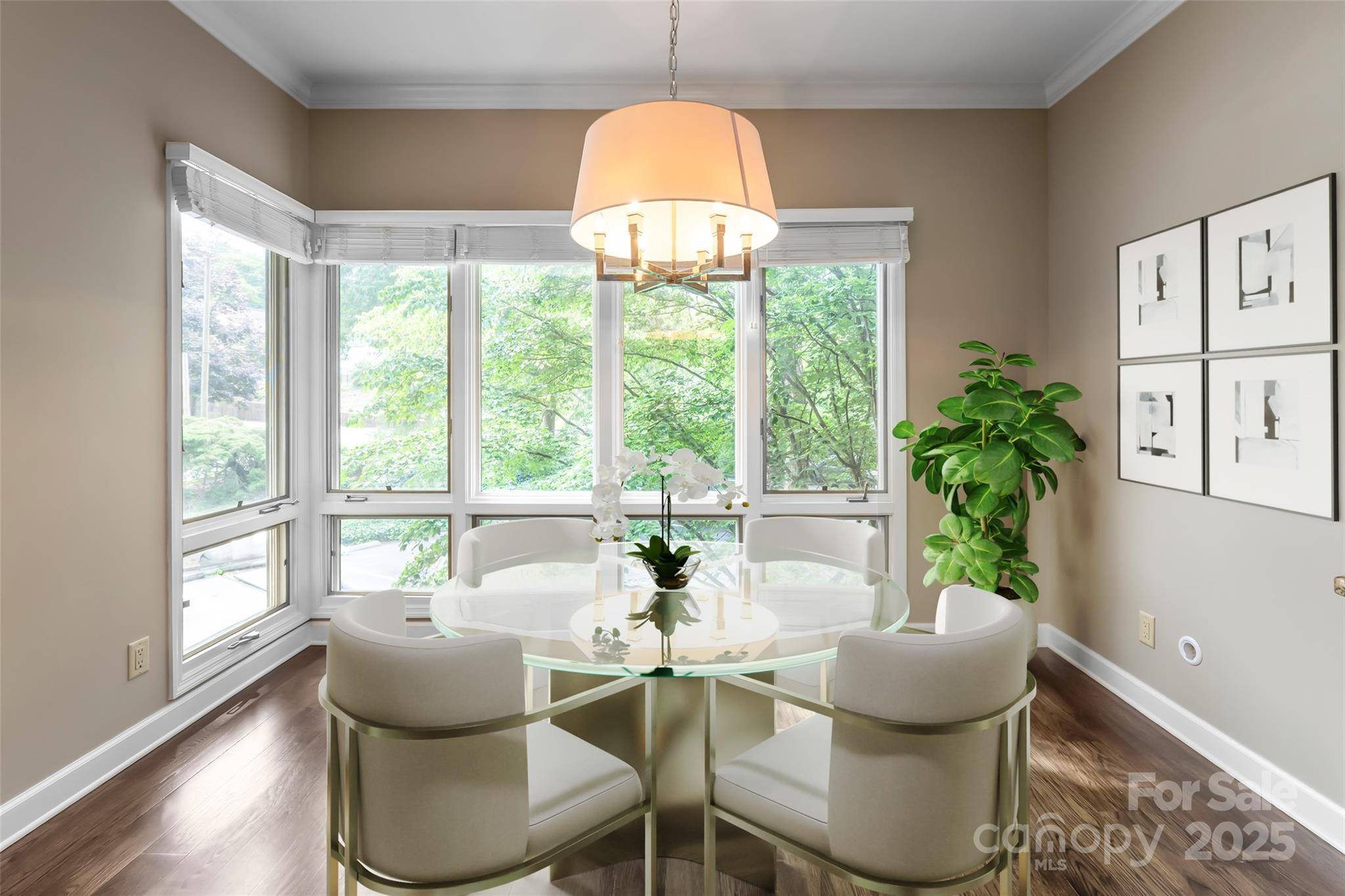 Asheville, NC 28801,400 Charlotte ST #402