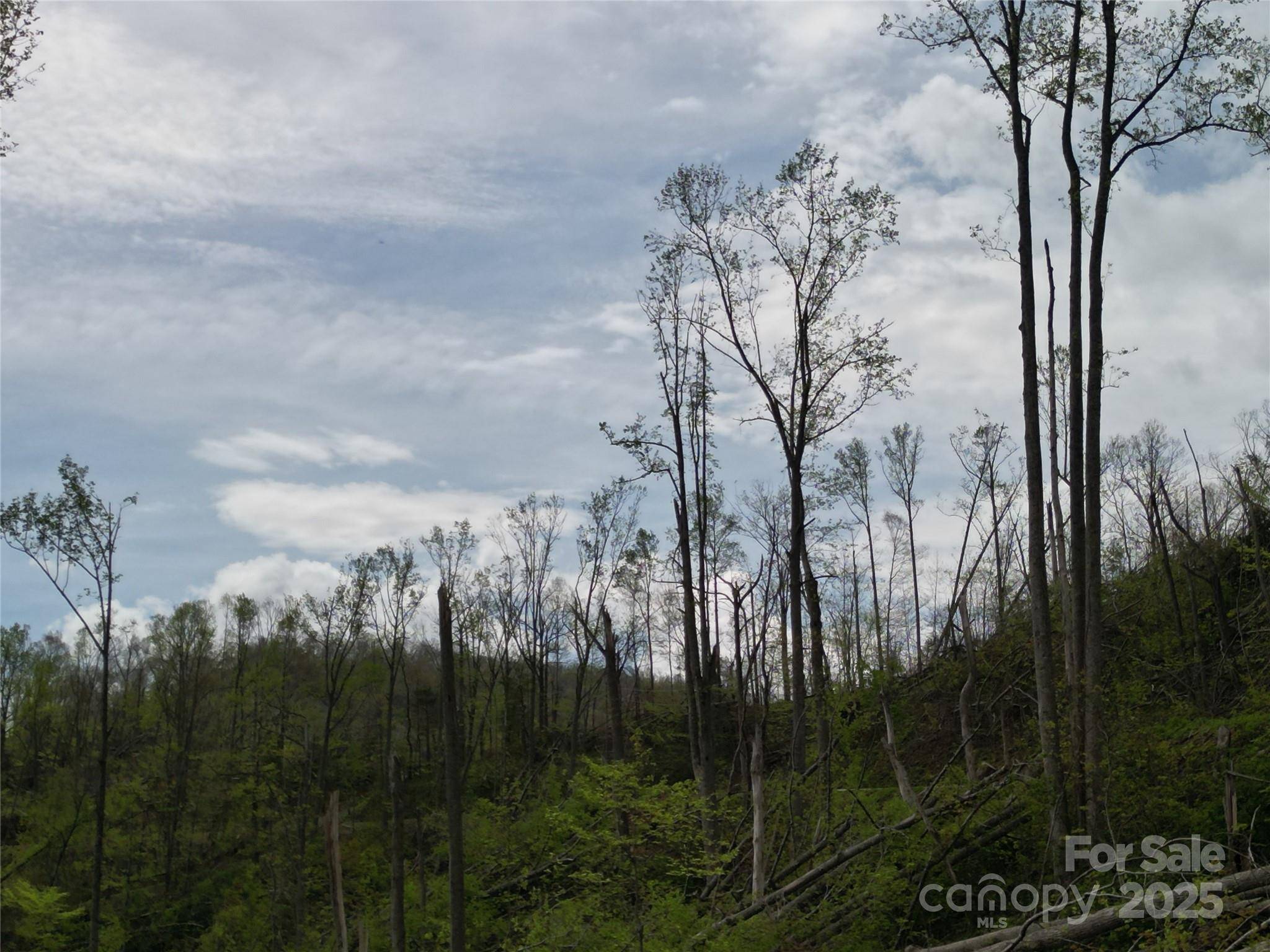 Asheville, NC 28804,99999 Elk Mountain Scenic HWY