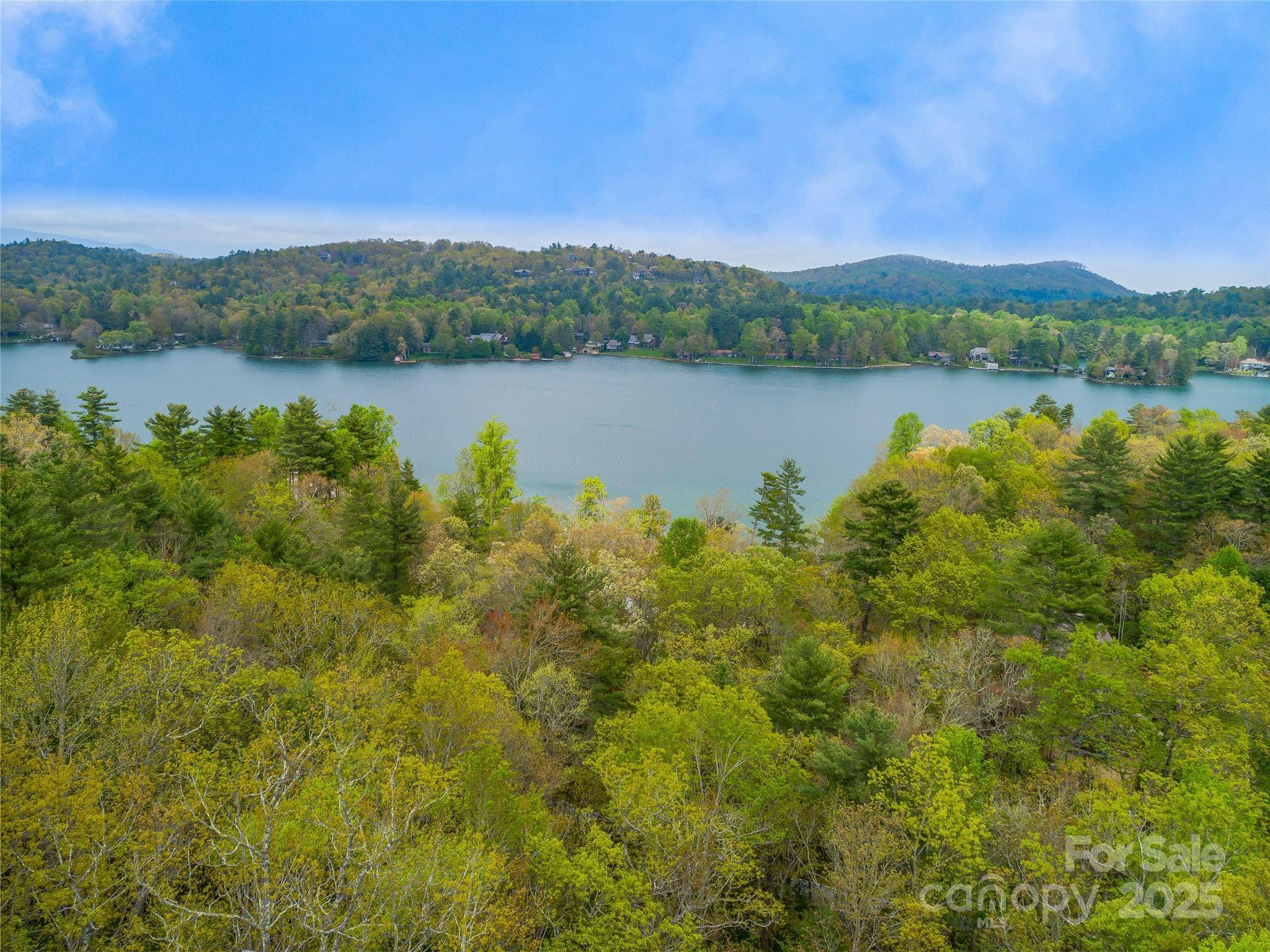 Lake Toxaway, NC 28747,3539 West Club BLVD