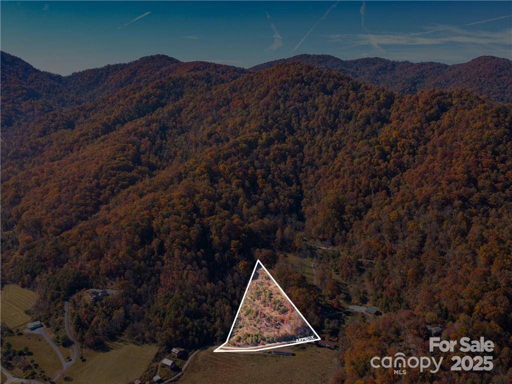 Leicester, NC 28748,99999 Turkey Creek RD #1 & 2
