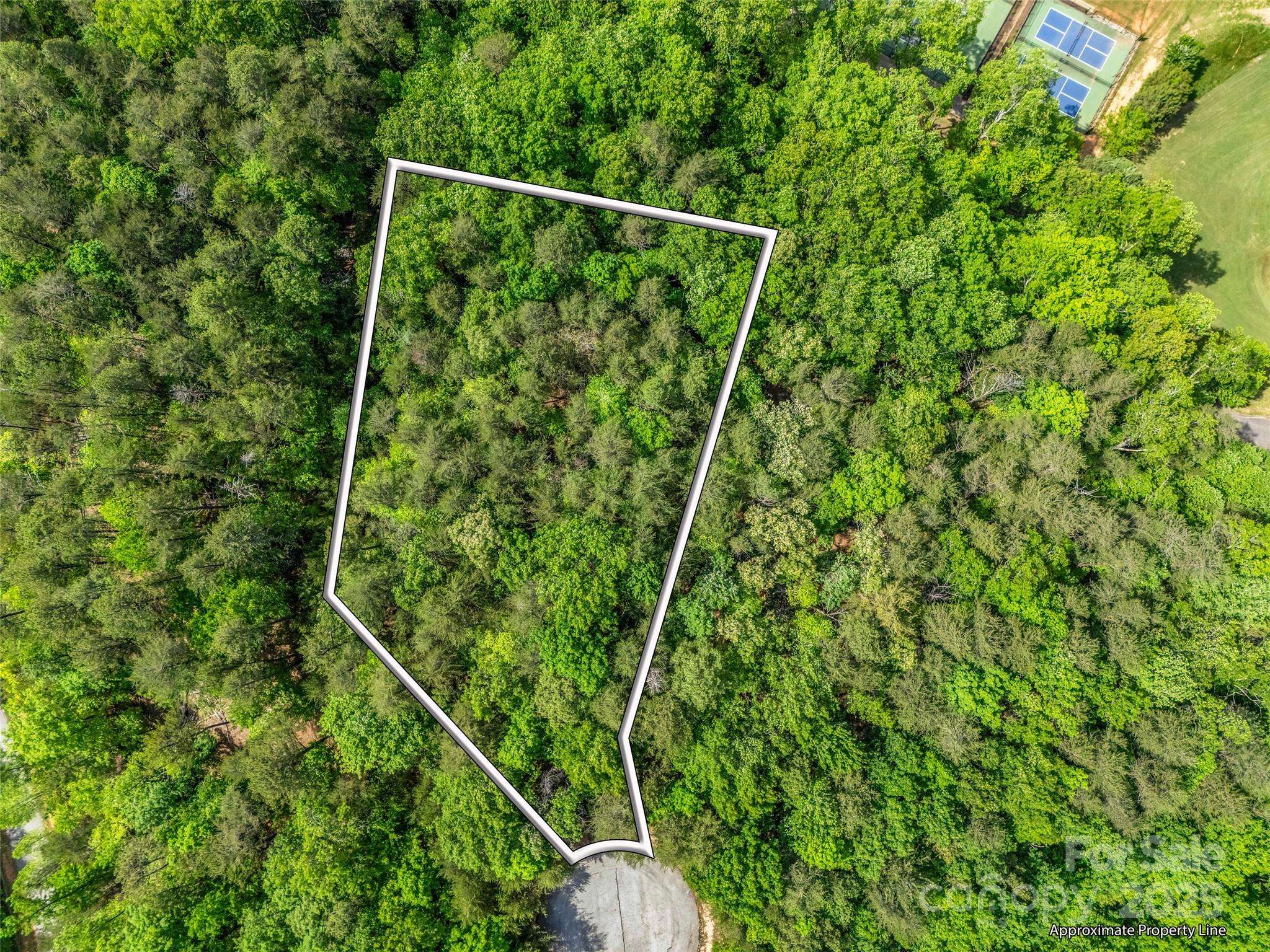 Mill Spring, NC 28756,4 Woodward DR