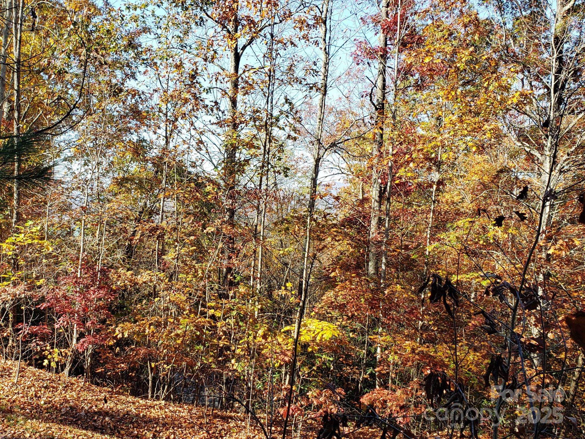 Pisgah Forest, NC 28768,TBD Top Oaks LN #Lot 58