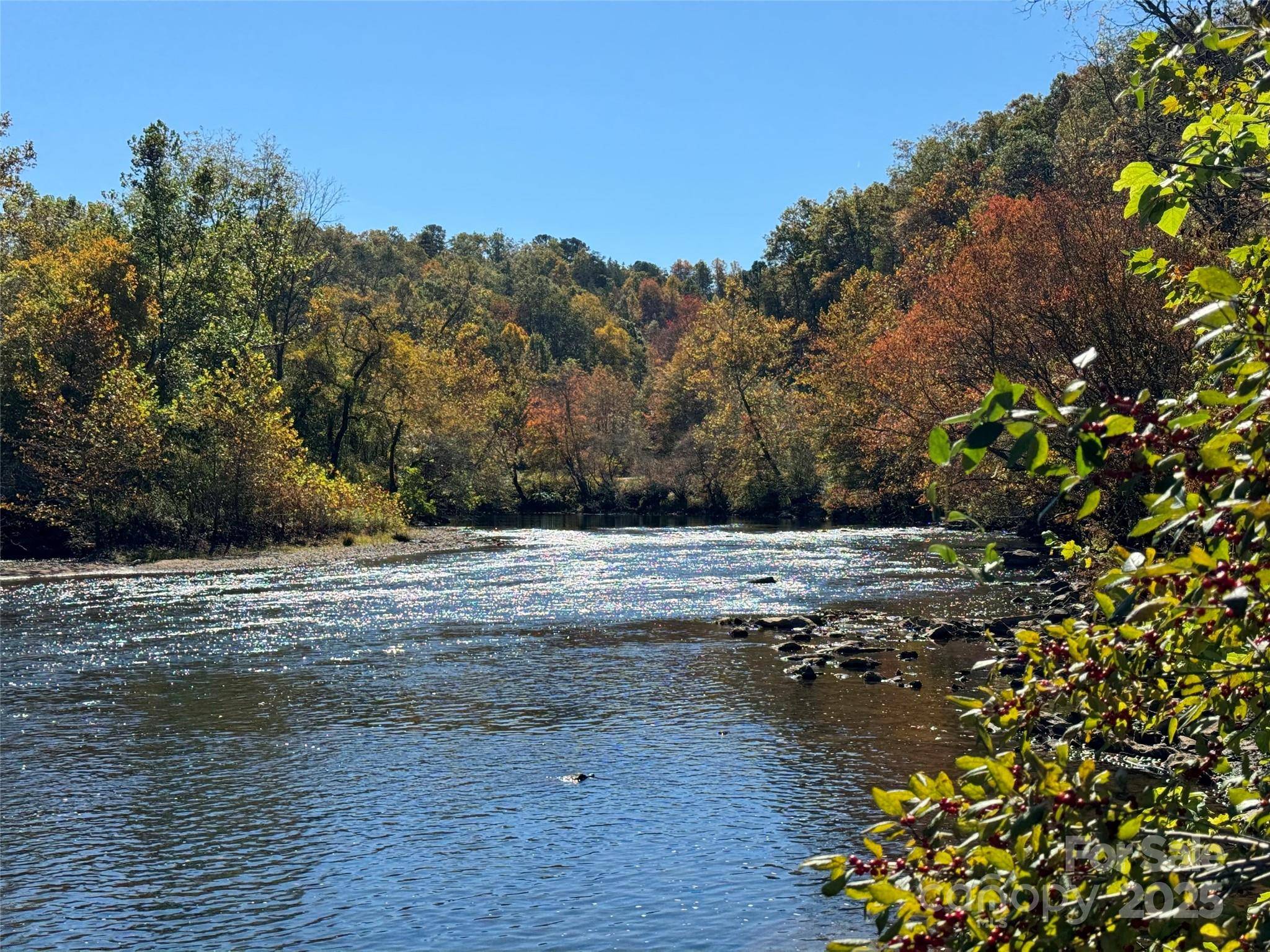 Franklin, NC 28734,4136 Rose Creek RD