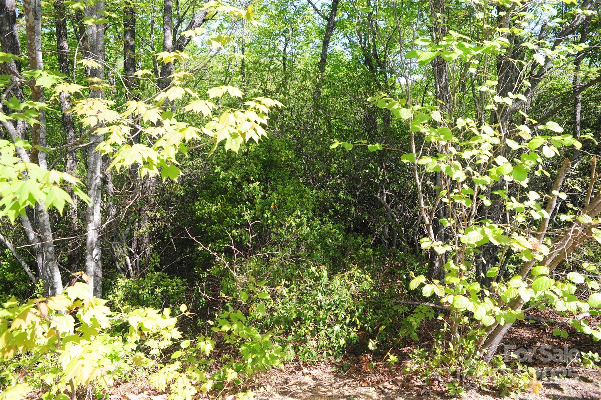 Black Mountain, NC 28711,99999 Mountain Falls TRL #71