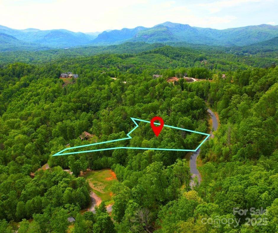Lake Lure, NC 28746,0 Bills Mountain TRL