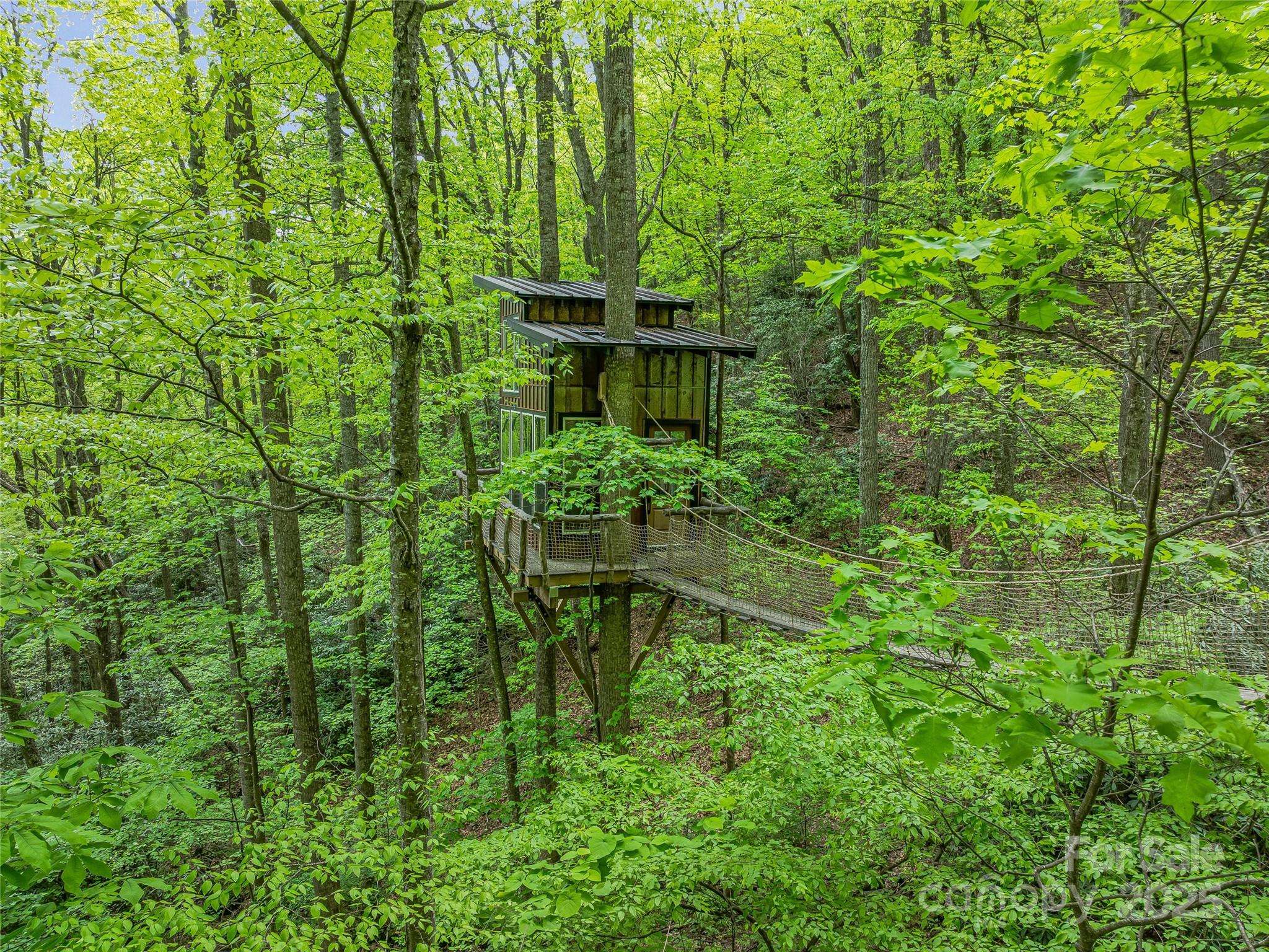 Candler, NC 28715,59 Pisgah Mountain TRL