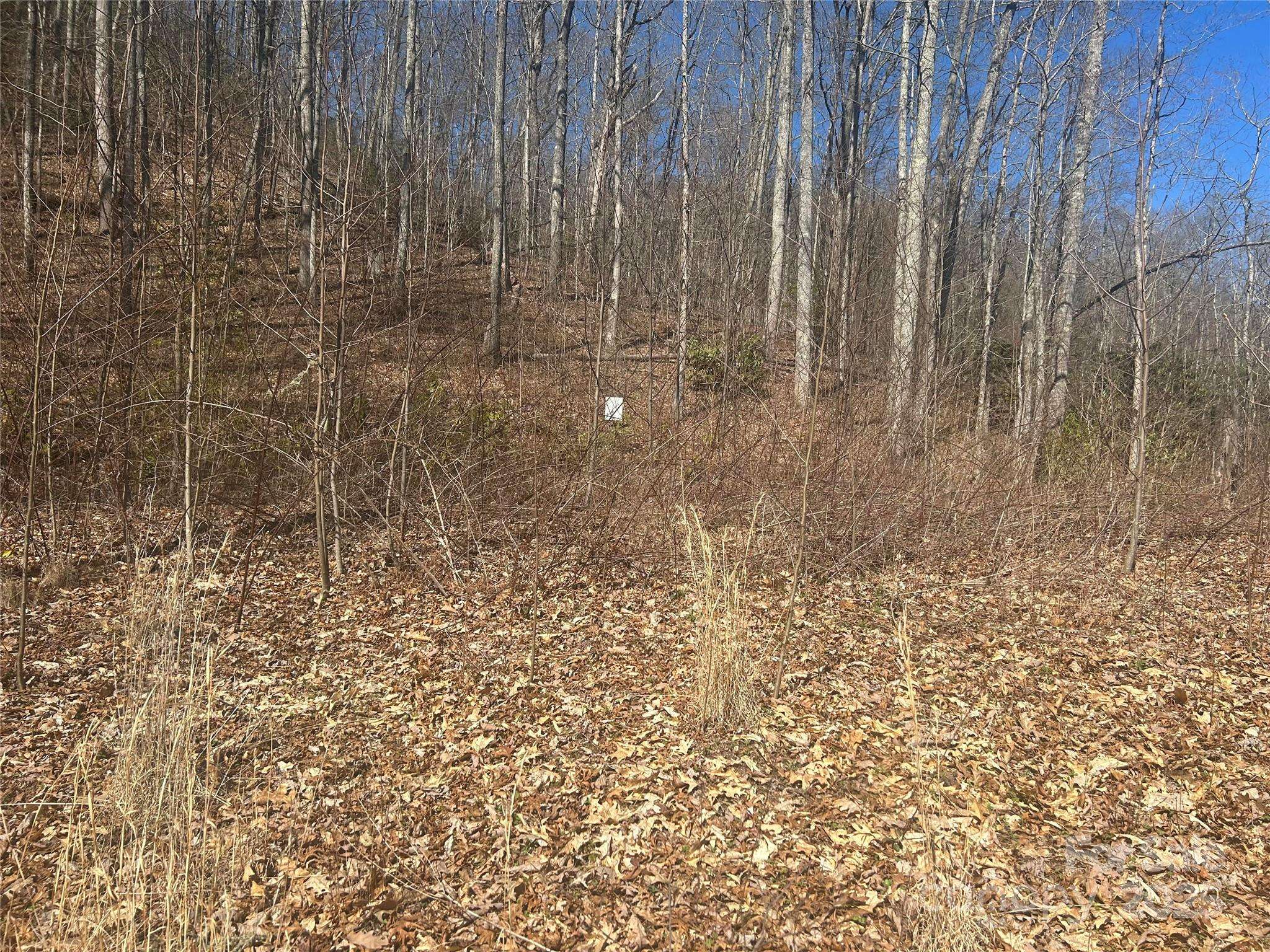 Bryson City, NC 28713,0 Towaliga DR #94
