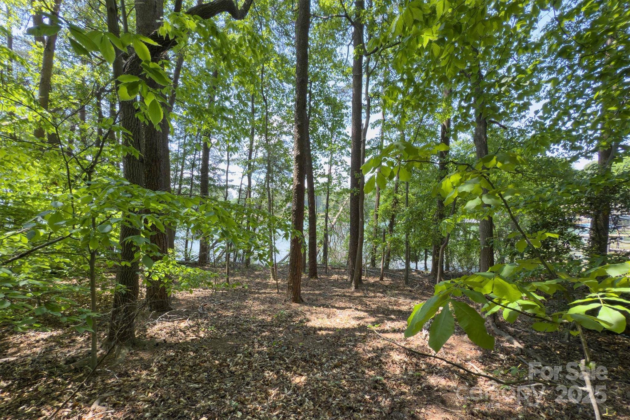 Troutman, NC 28166,0 Brer Fox TRL #6