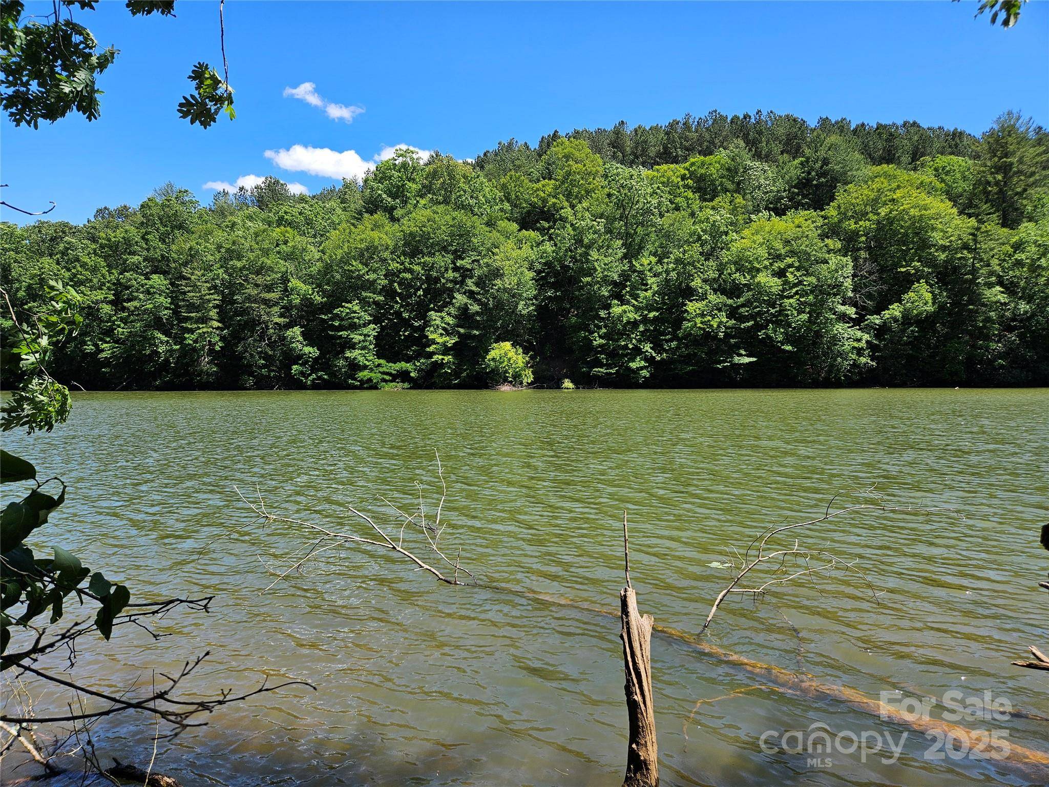 Connelly Springs, NC 28612,2446 W Paradise Harbor DR #13