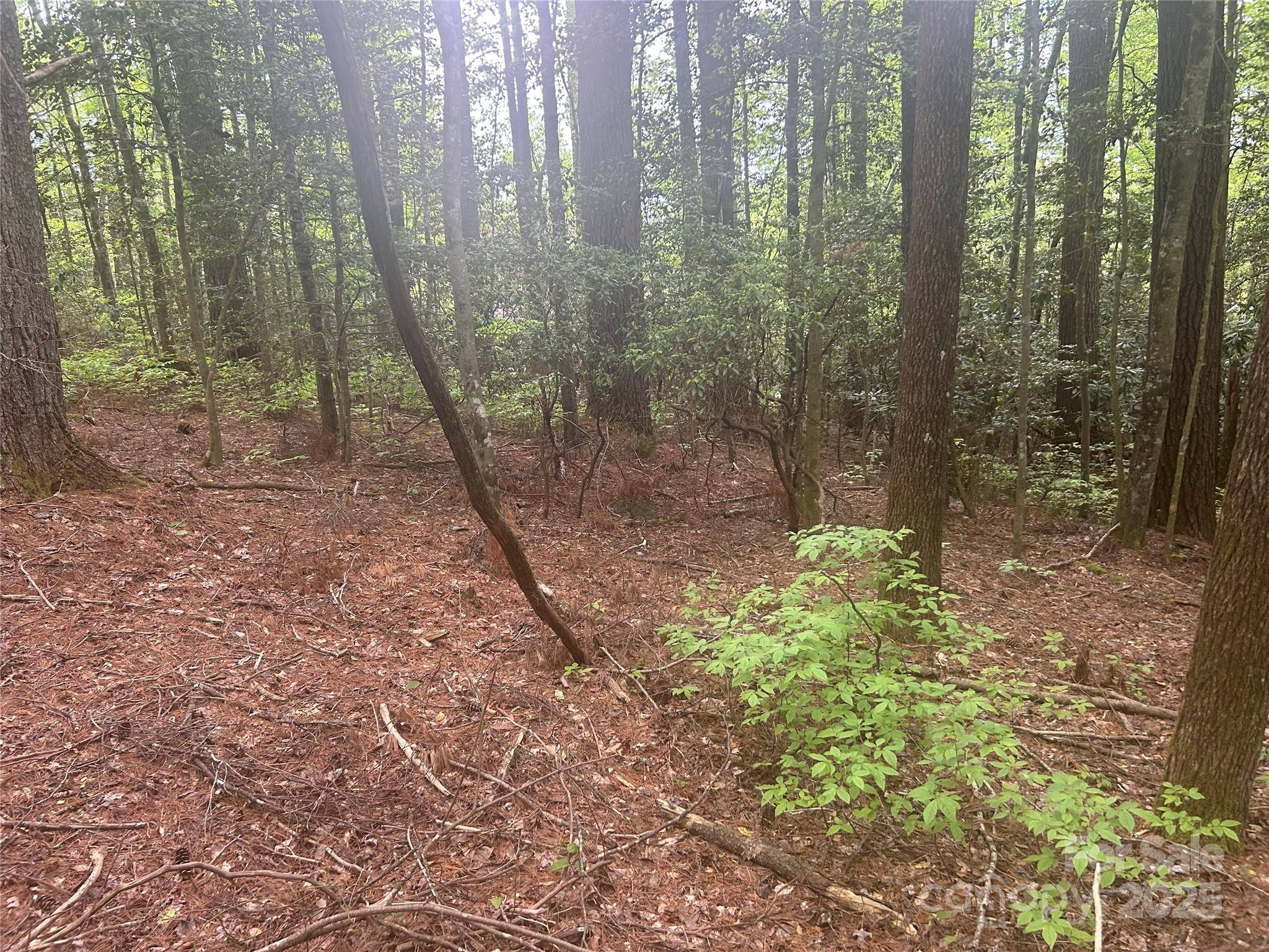 Sapphire, NC 28774,TBD Upper Whitewater RD