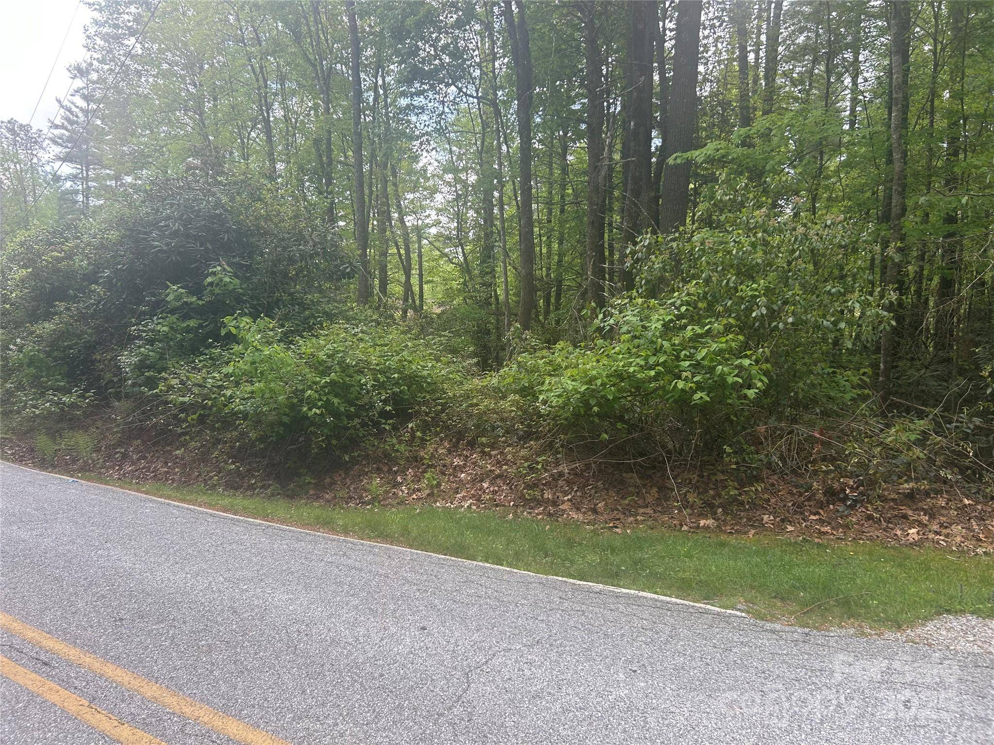 Sapphire, NC 28774,TBD Upper Whitewater RD