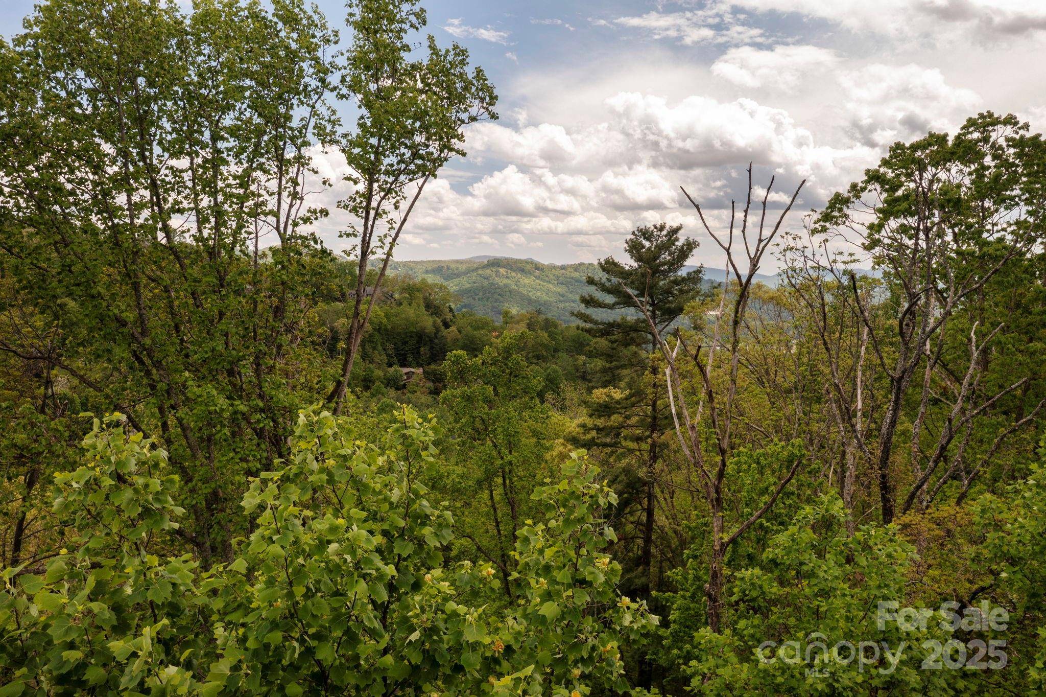 Asheville, NC 28804,146 Summit Tower CIR #211