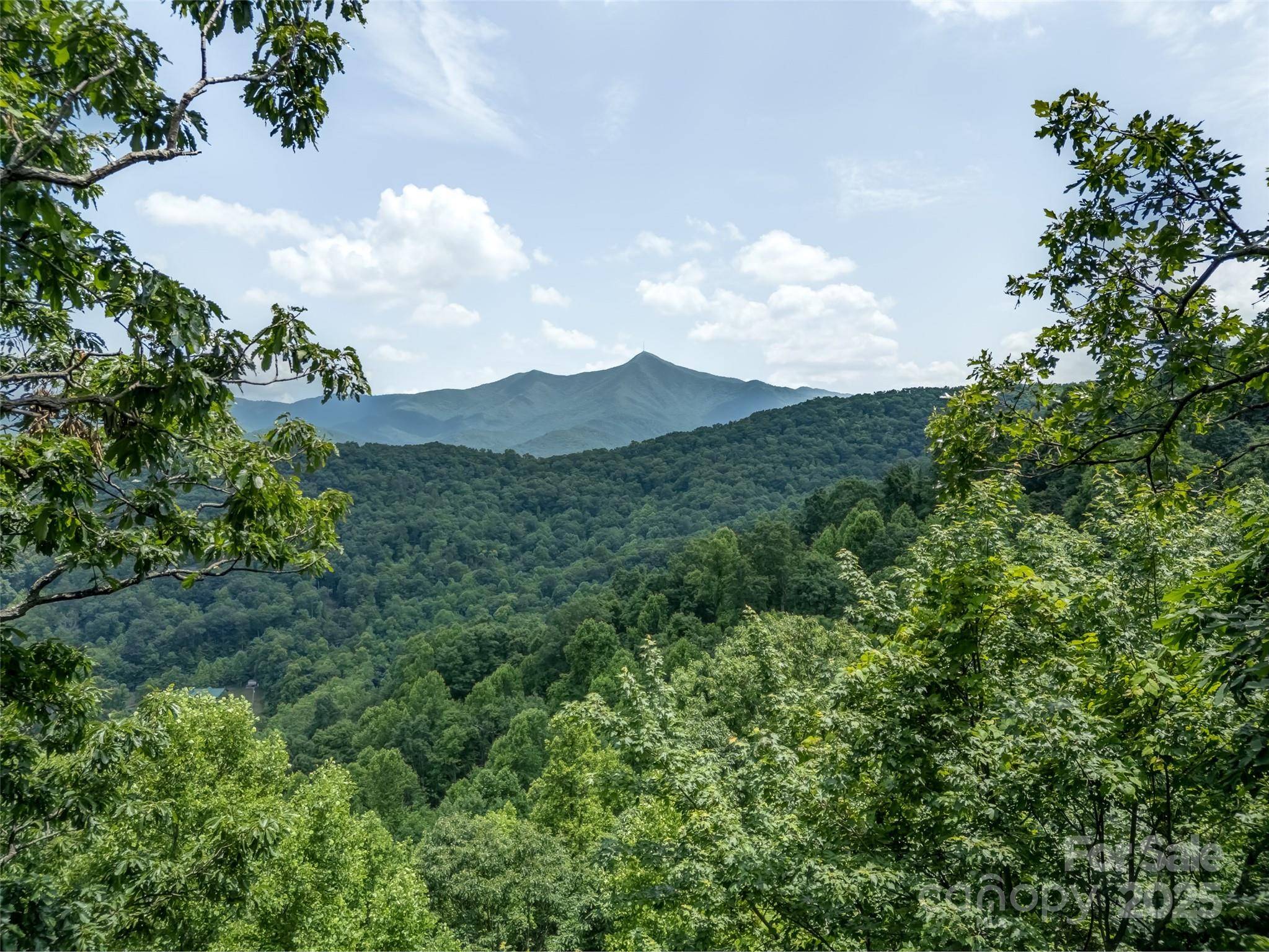 Candler, NC 28715,000 White Rock Branch RD