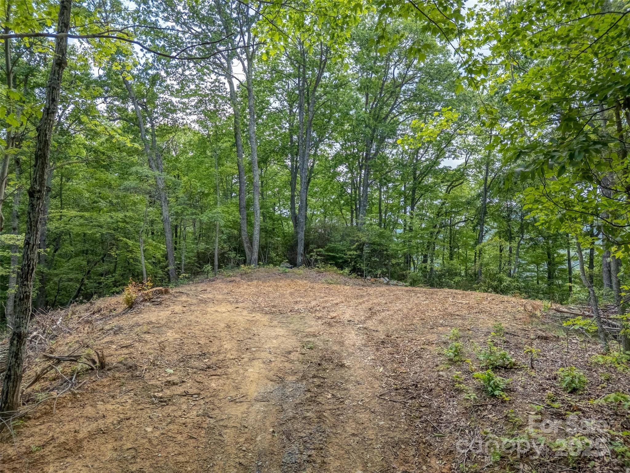 Candler, NC 28715,000 White Rock Branch RD