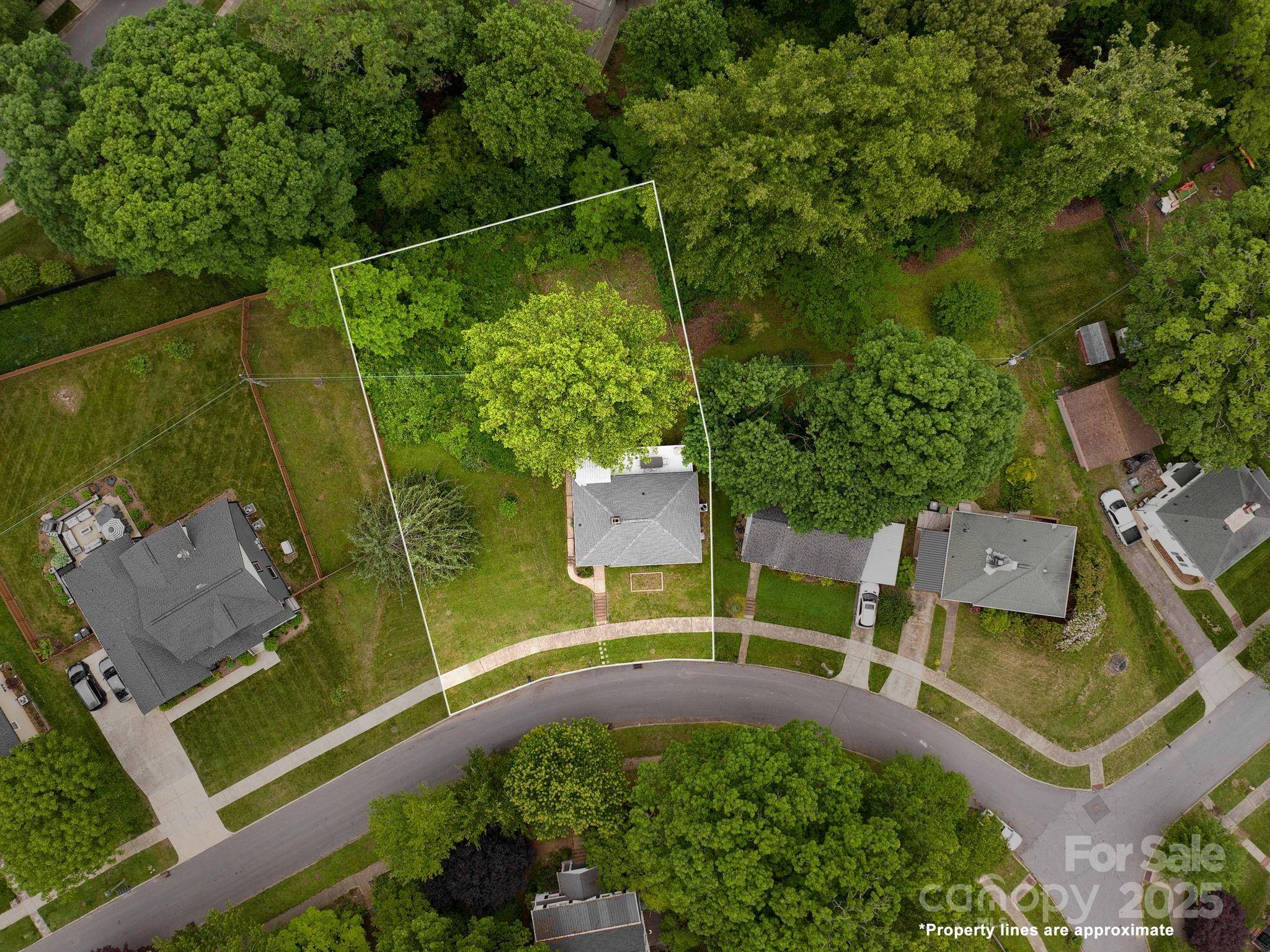 Candler, NC 28715,5 Enka Oak ST