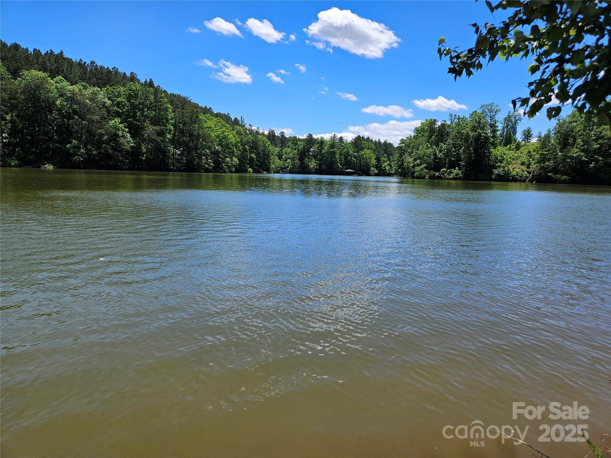 Connelly Springs, NC 28612,2294 Princeton Mountain None