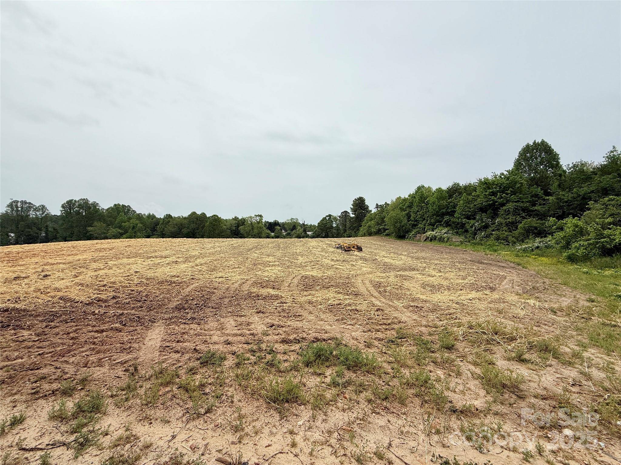 Flat Rock, NC 28731,0000 mohican TRL