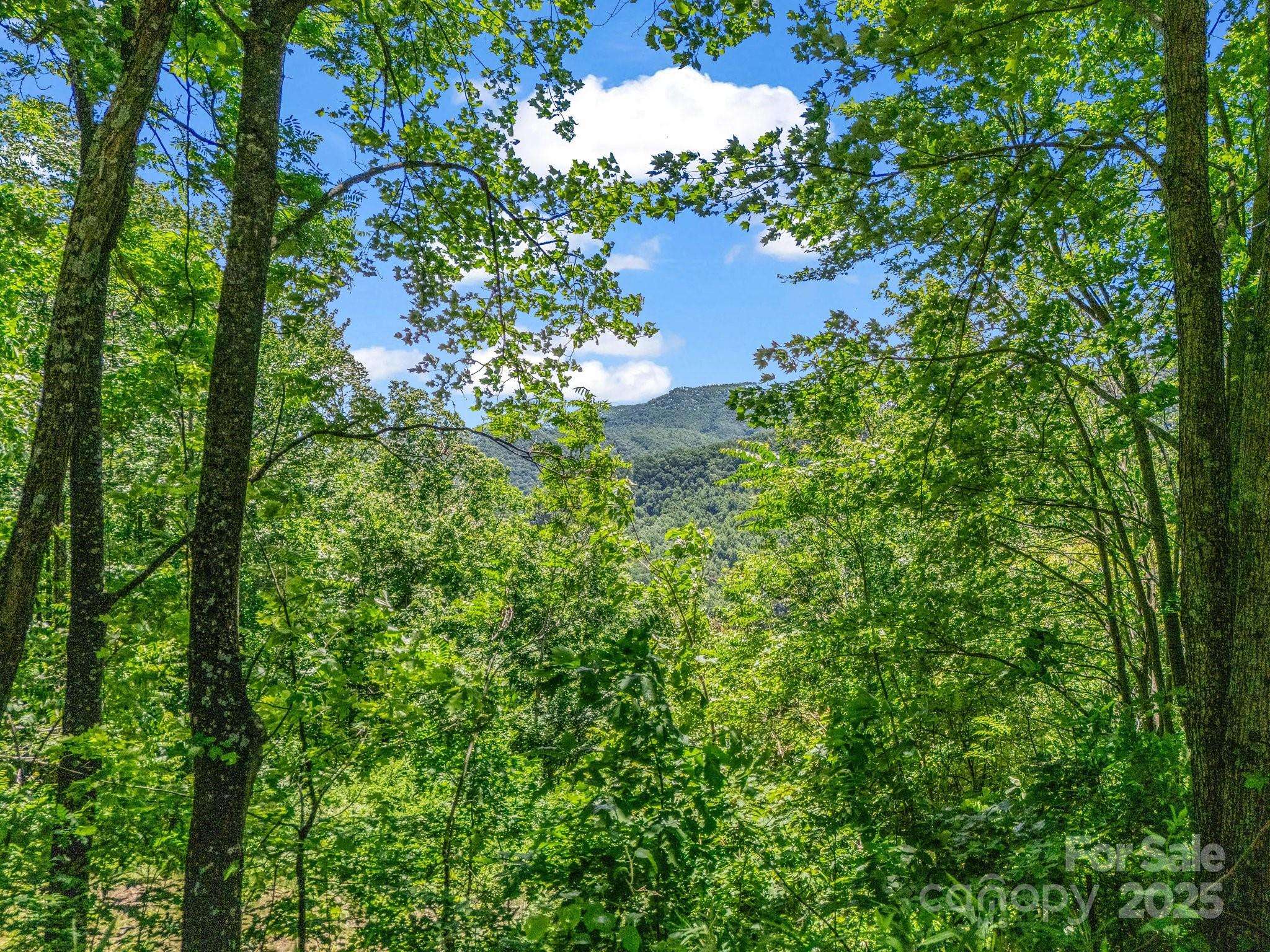 Black Mountain, NC 28711,1029 Kestrel LN #T-72